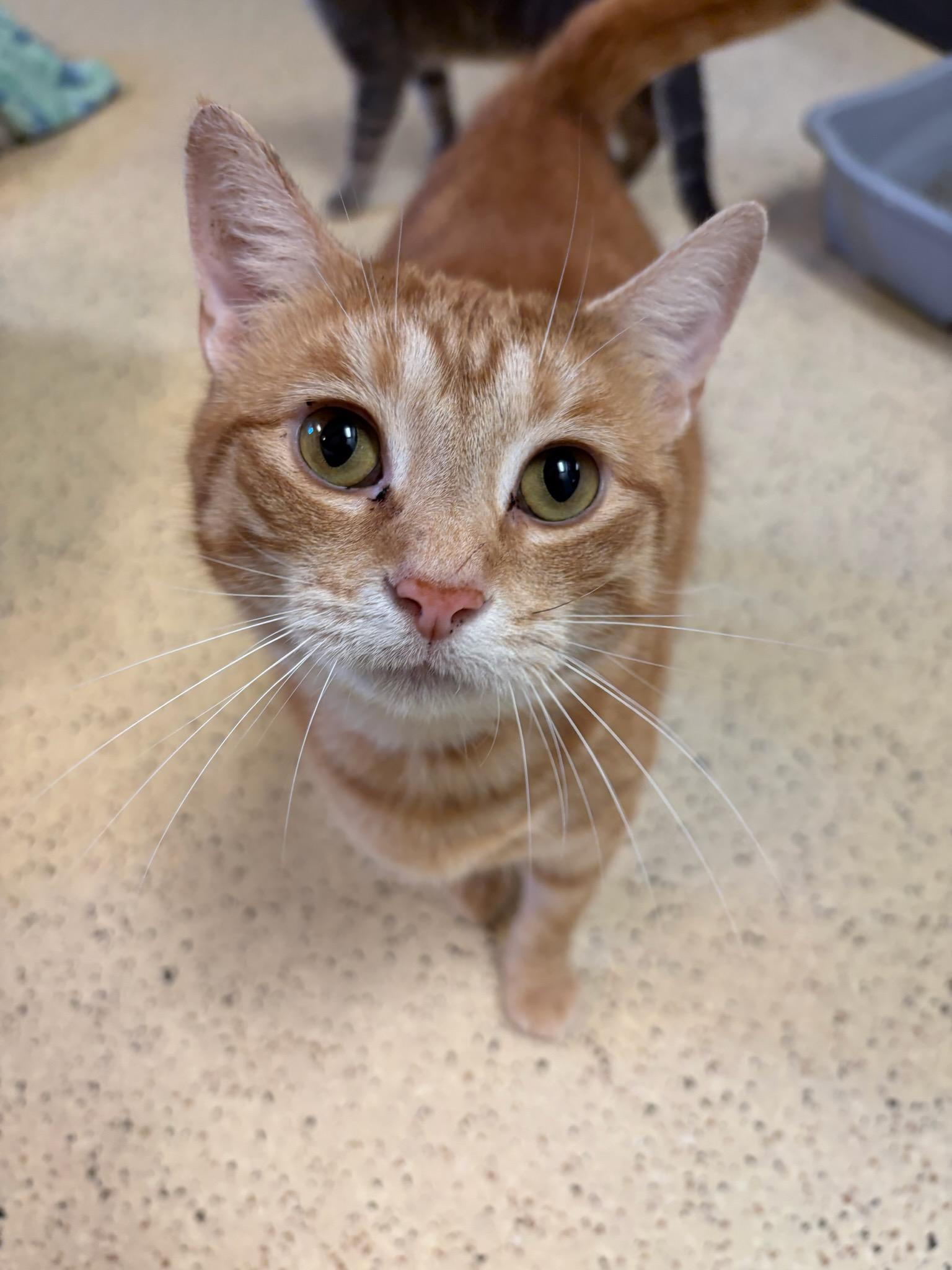 Sunshine — thumbnail 2