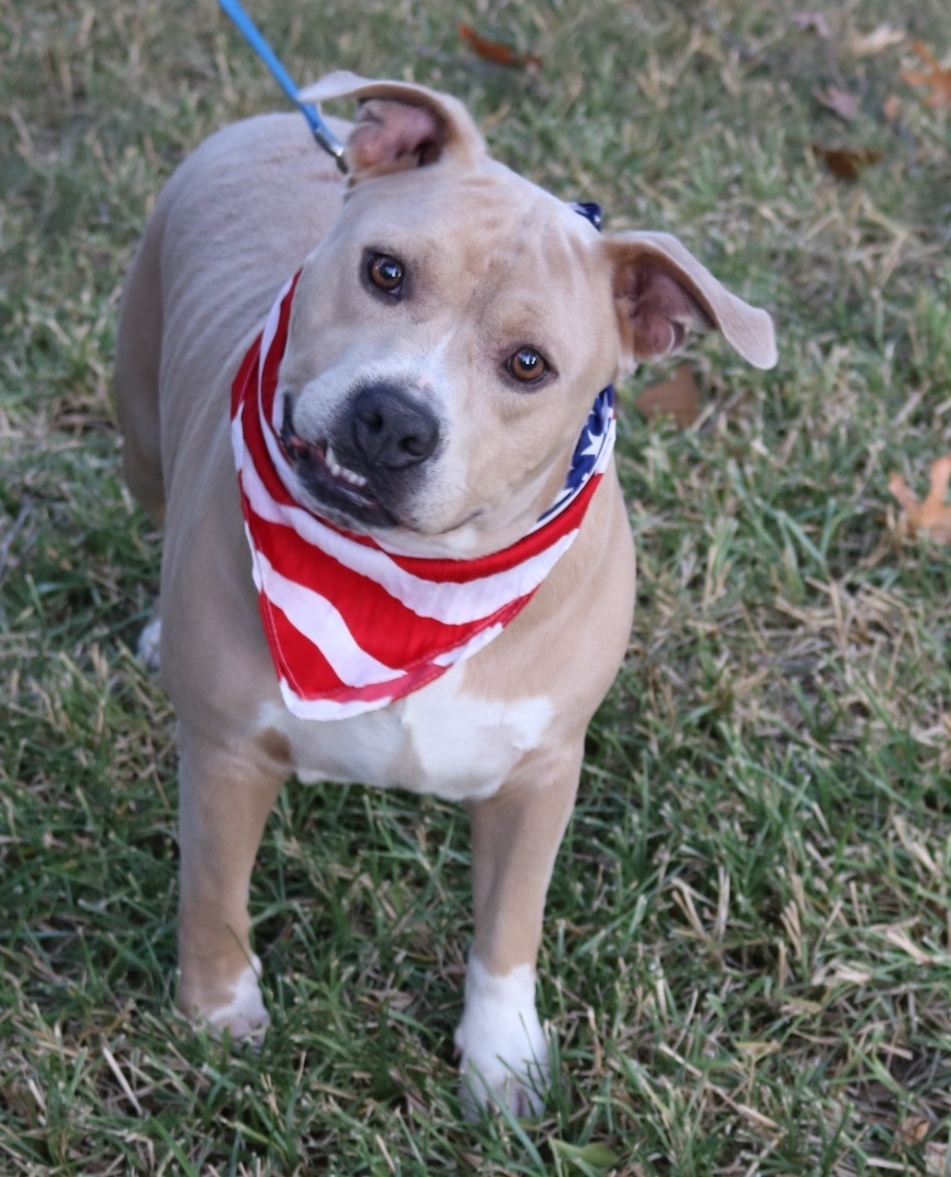 Tucker