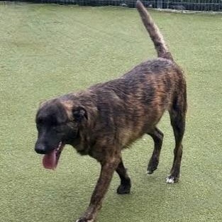 Charleston thumbnail 2