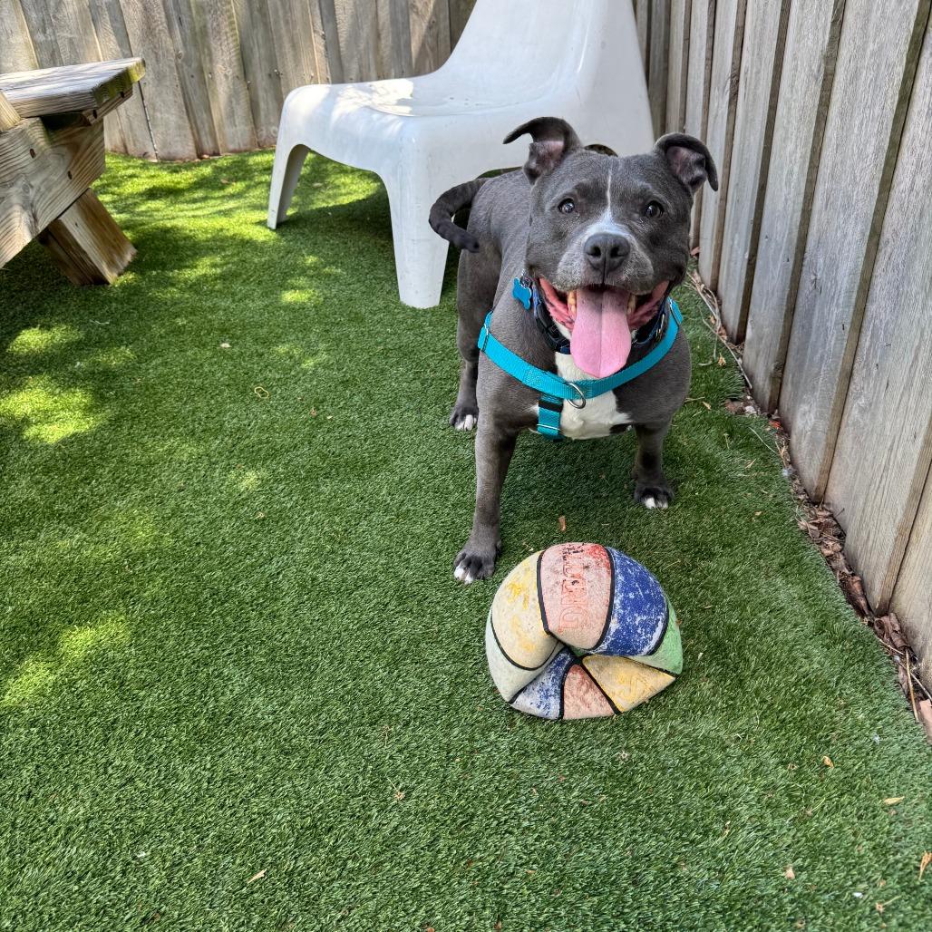 Hattie — thumbnail 3