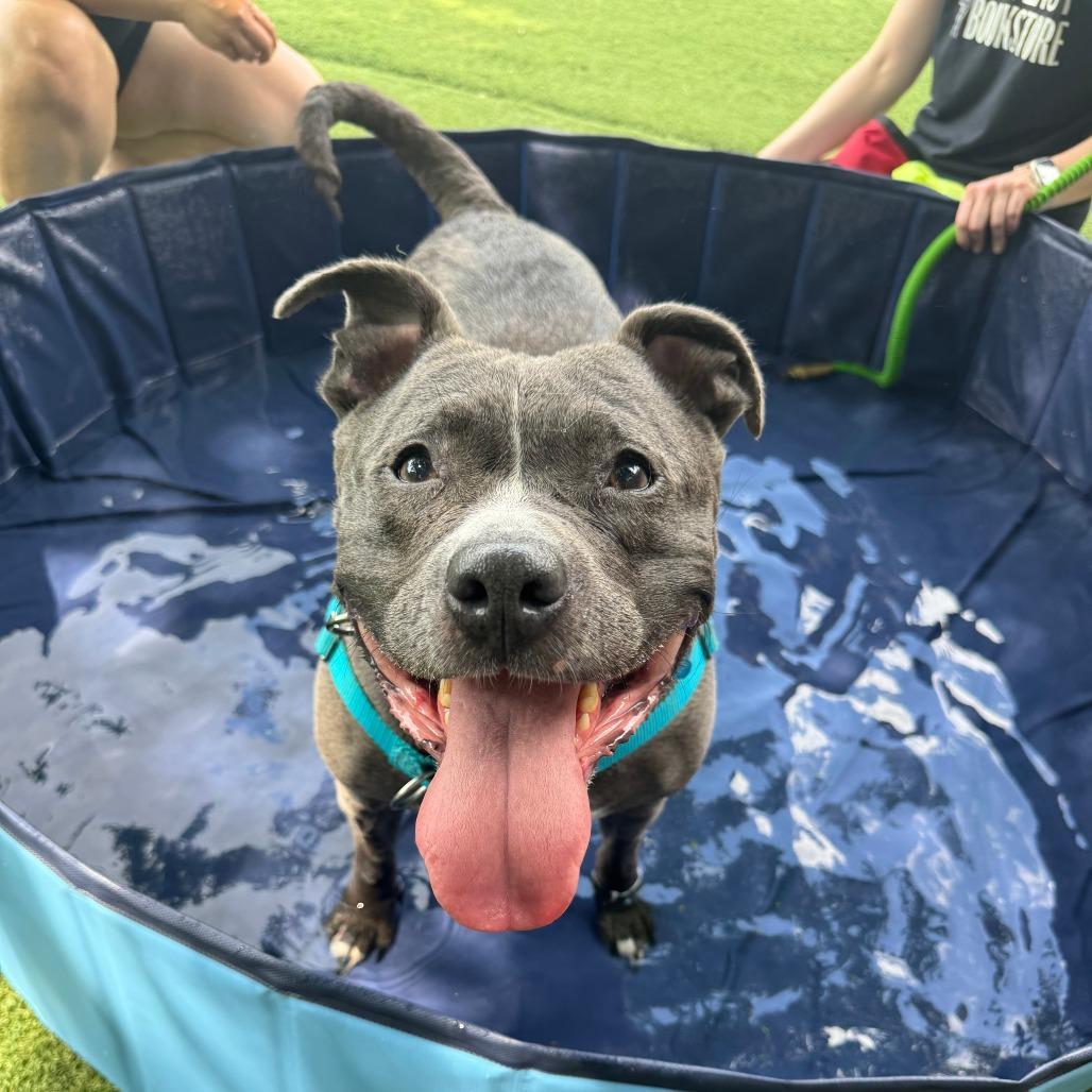 Hattie — thumbnail 5