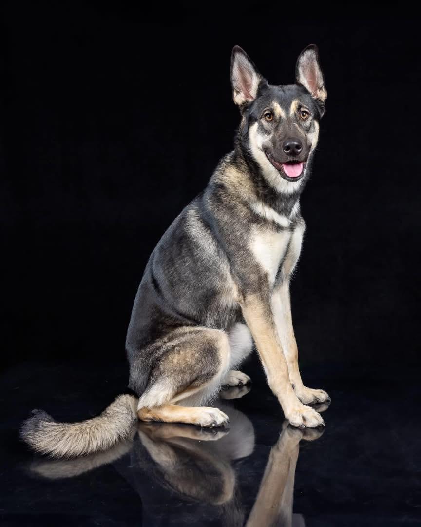 Nadia photo 3