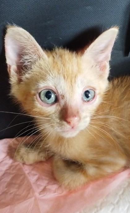 Zero (153524) (In a Foster Home)