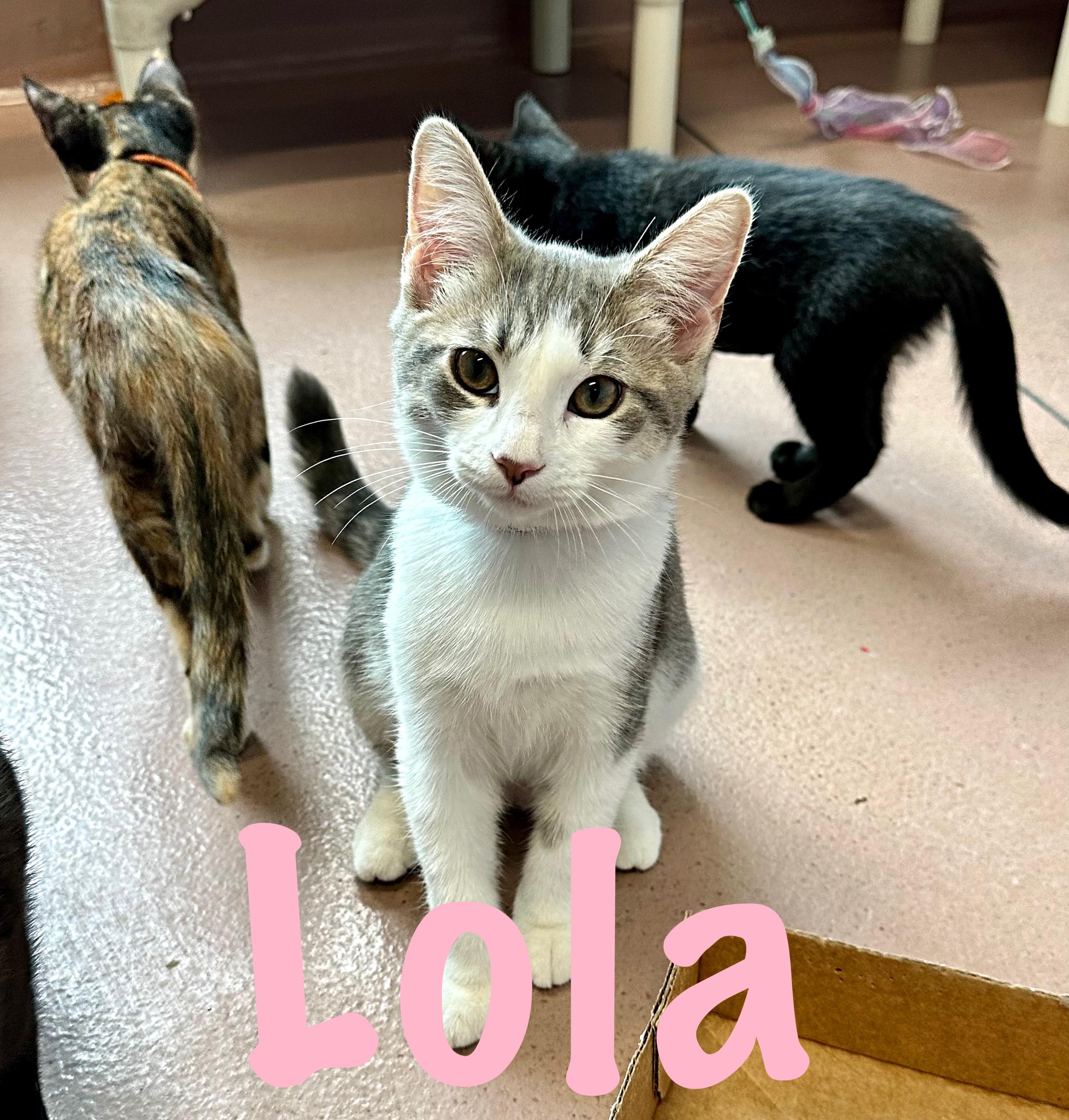 Lola photo