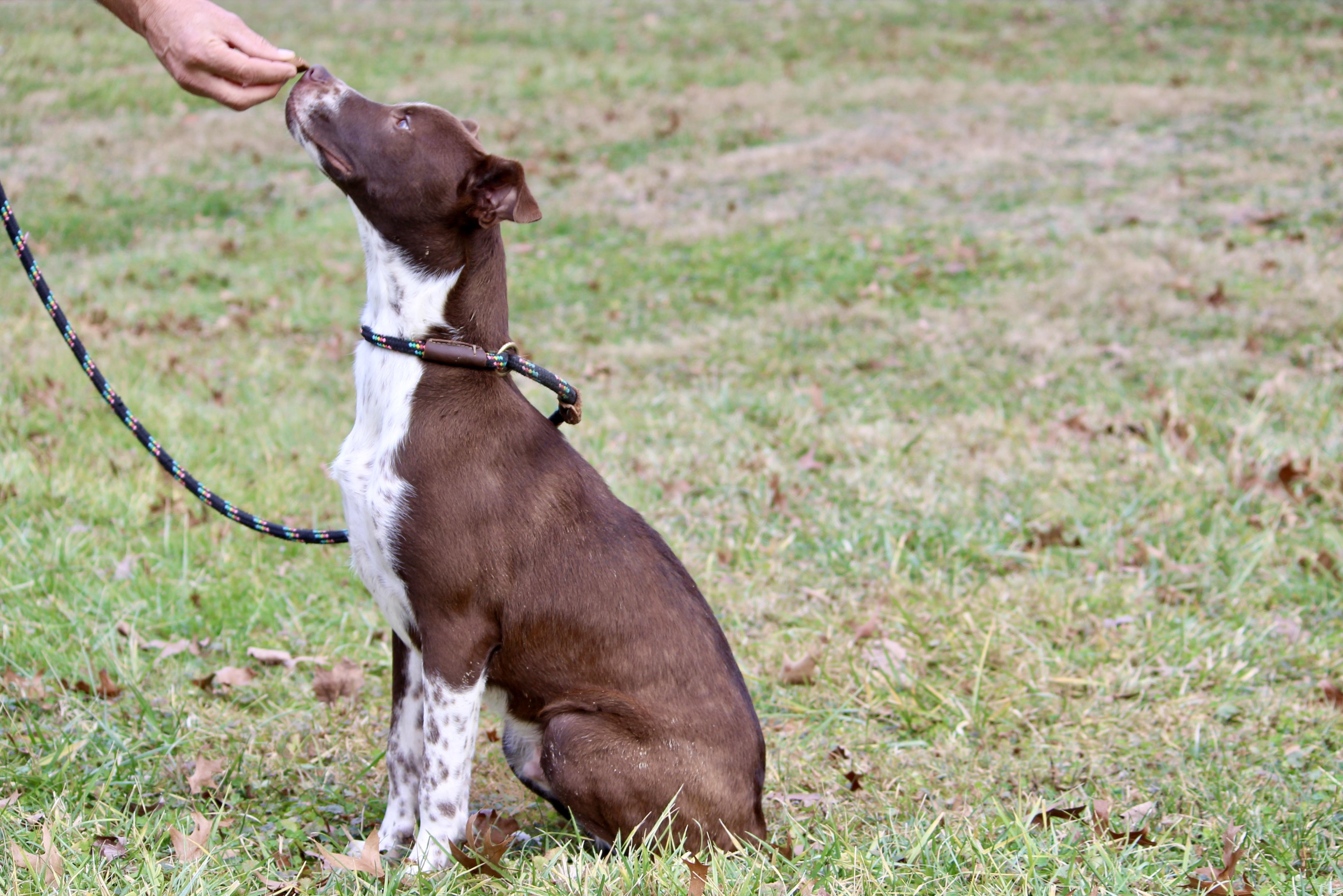 CASH — thumbnail 3