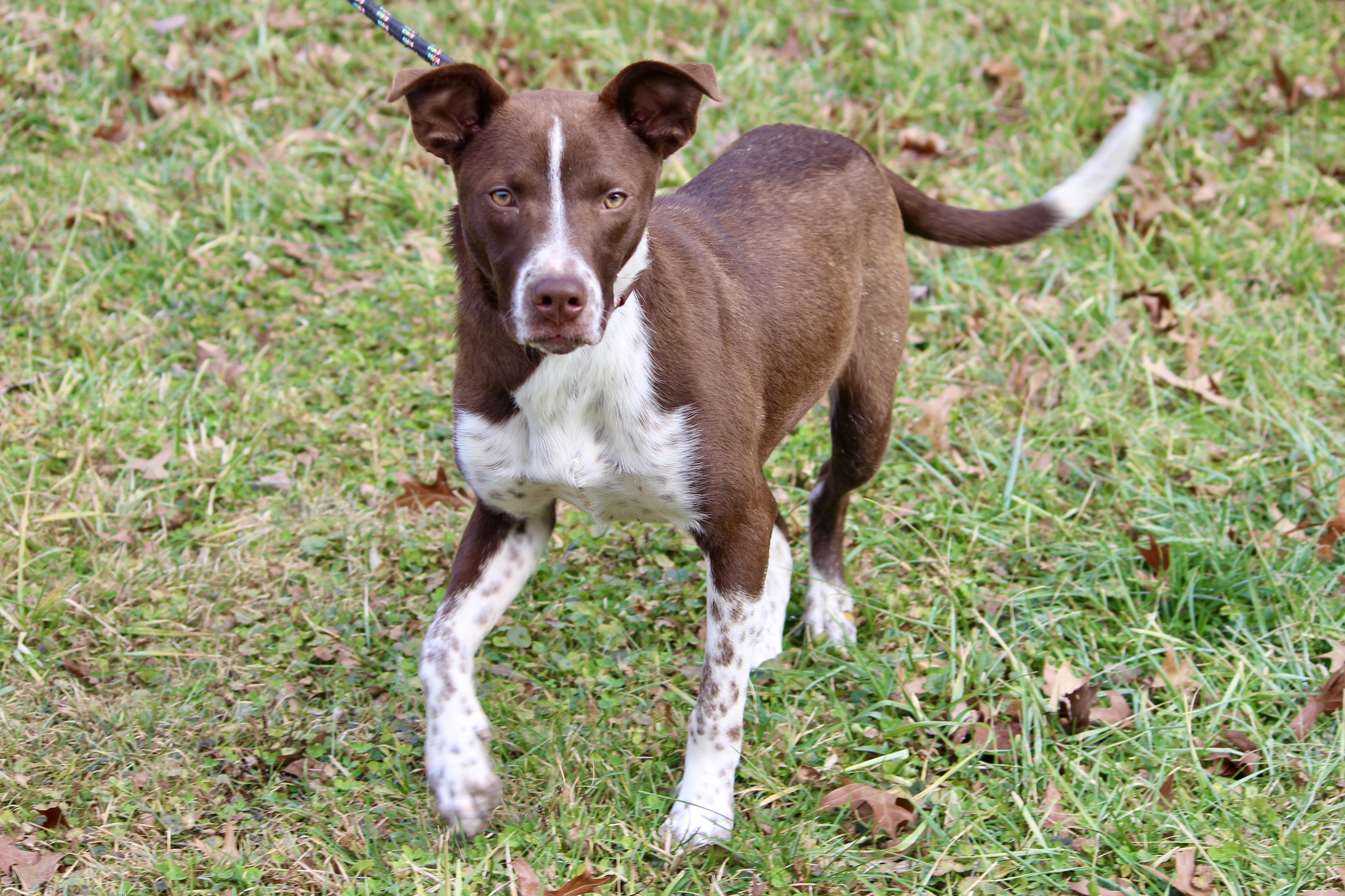 CASH — thumbnail 4