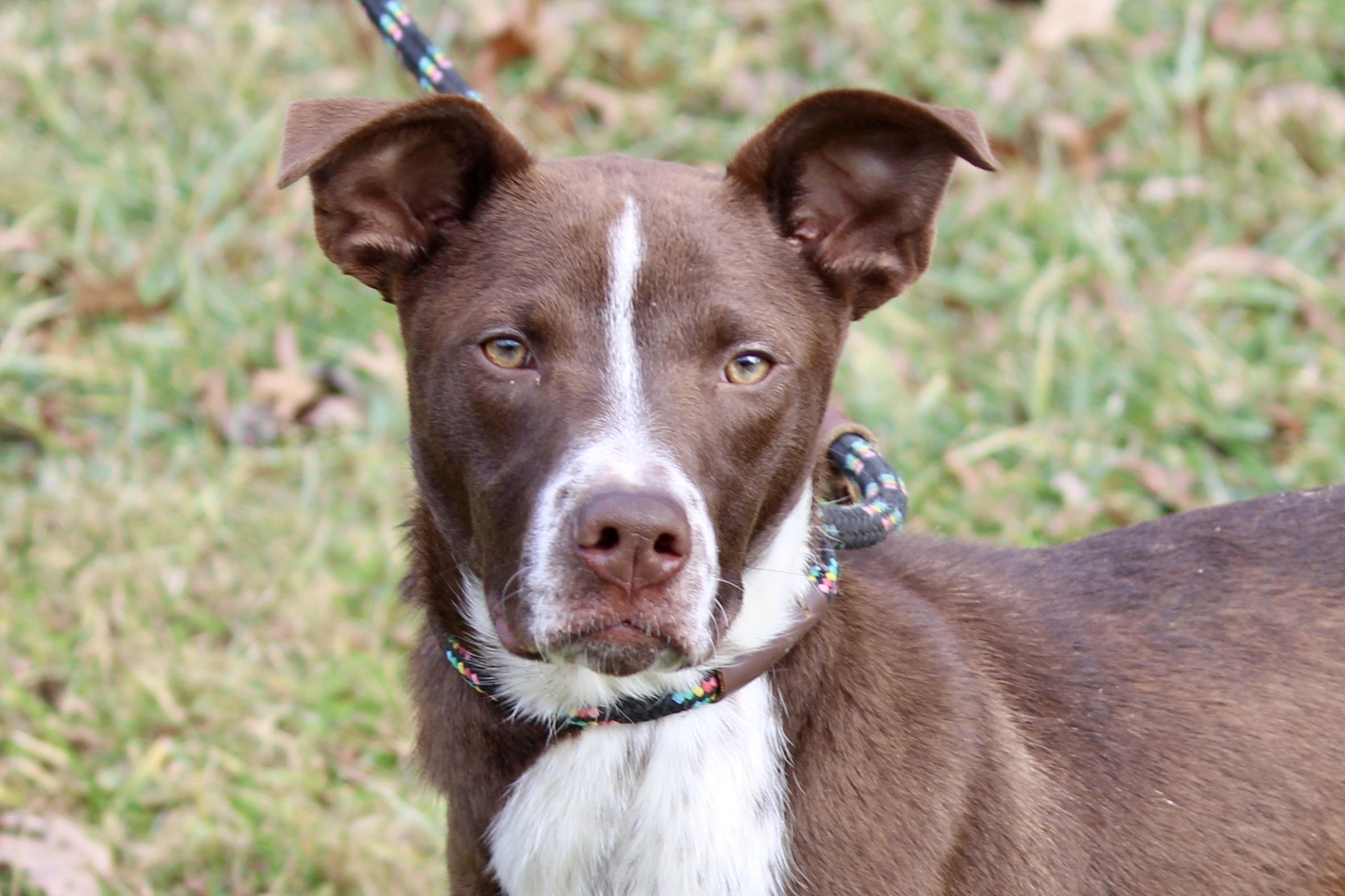 CASH — thumbnail 5