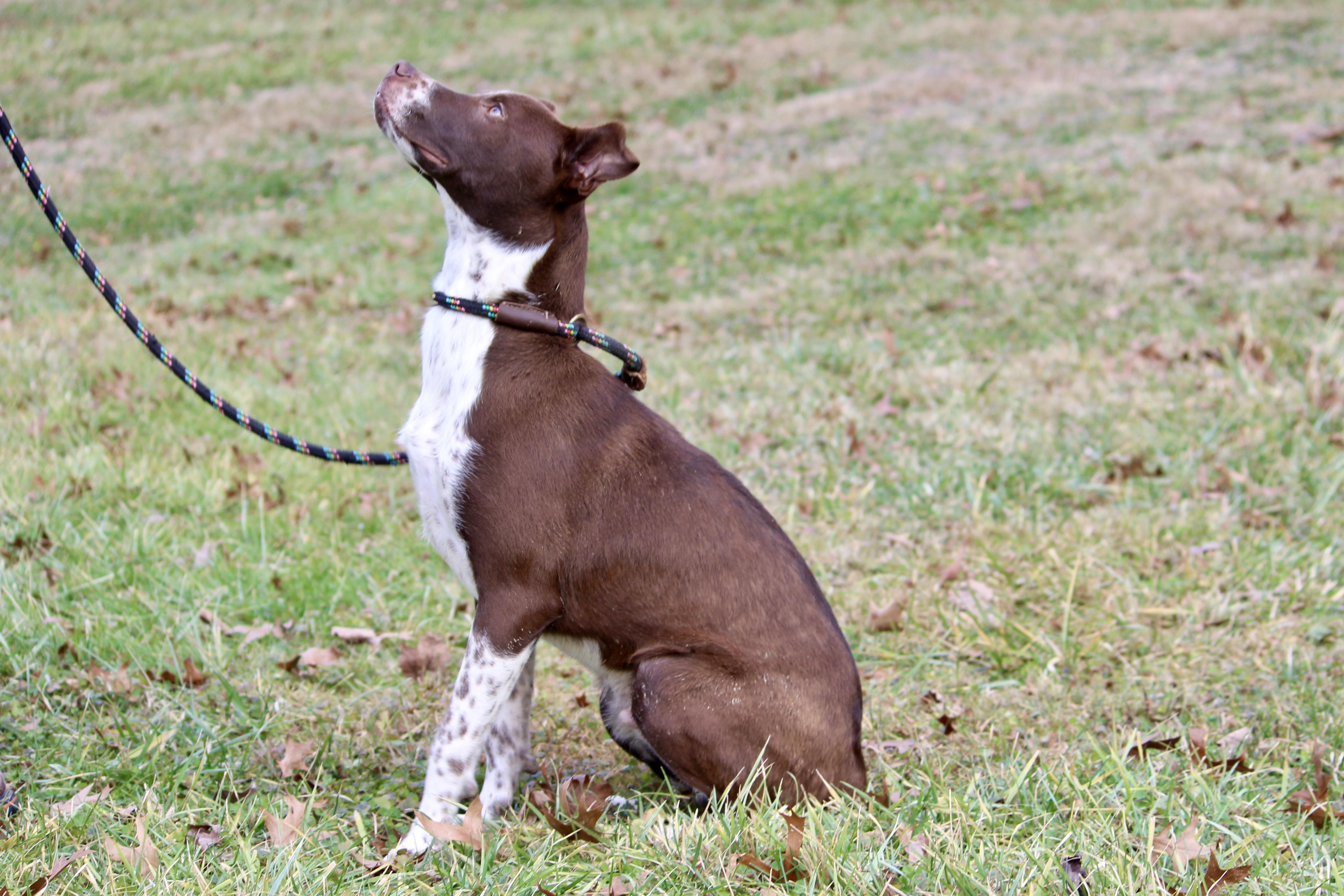 CASH — thumbnail 6