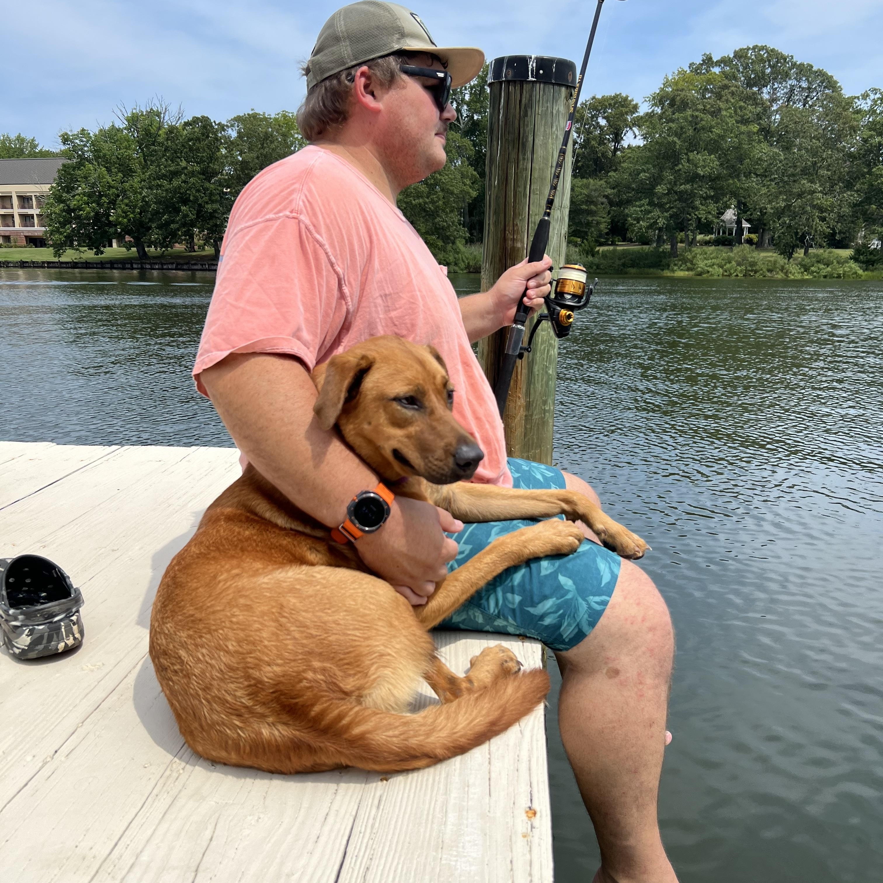 Maple, an adopted mixed breed in Mechanicsville , MD image 1/6