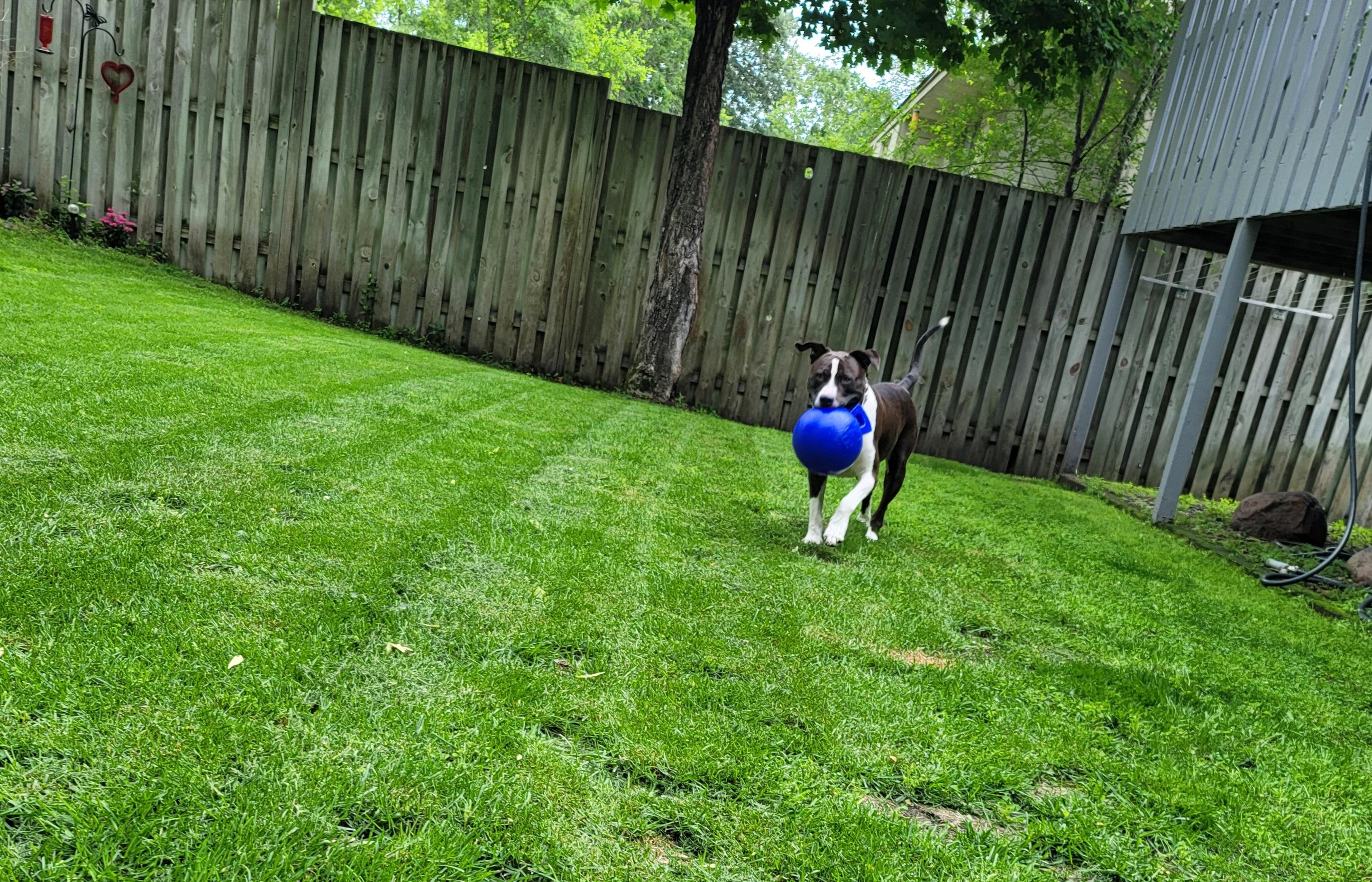 Sheek photo 6