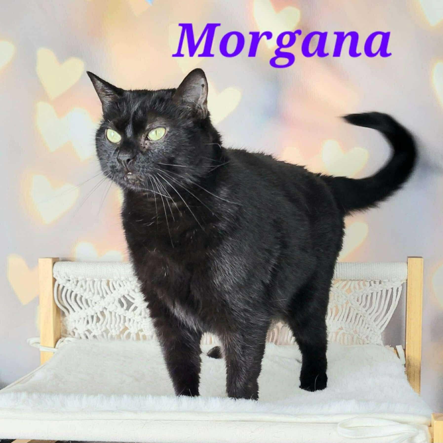 Morgana