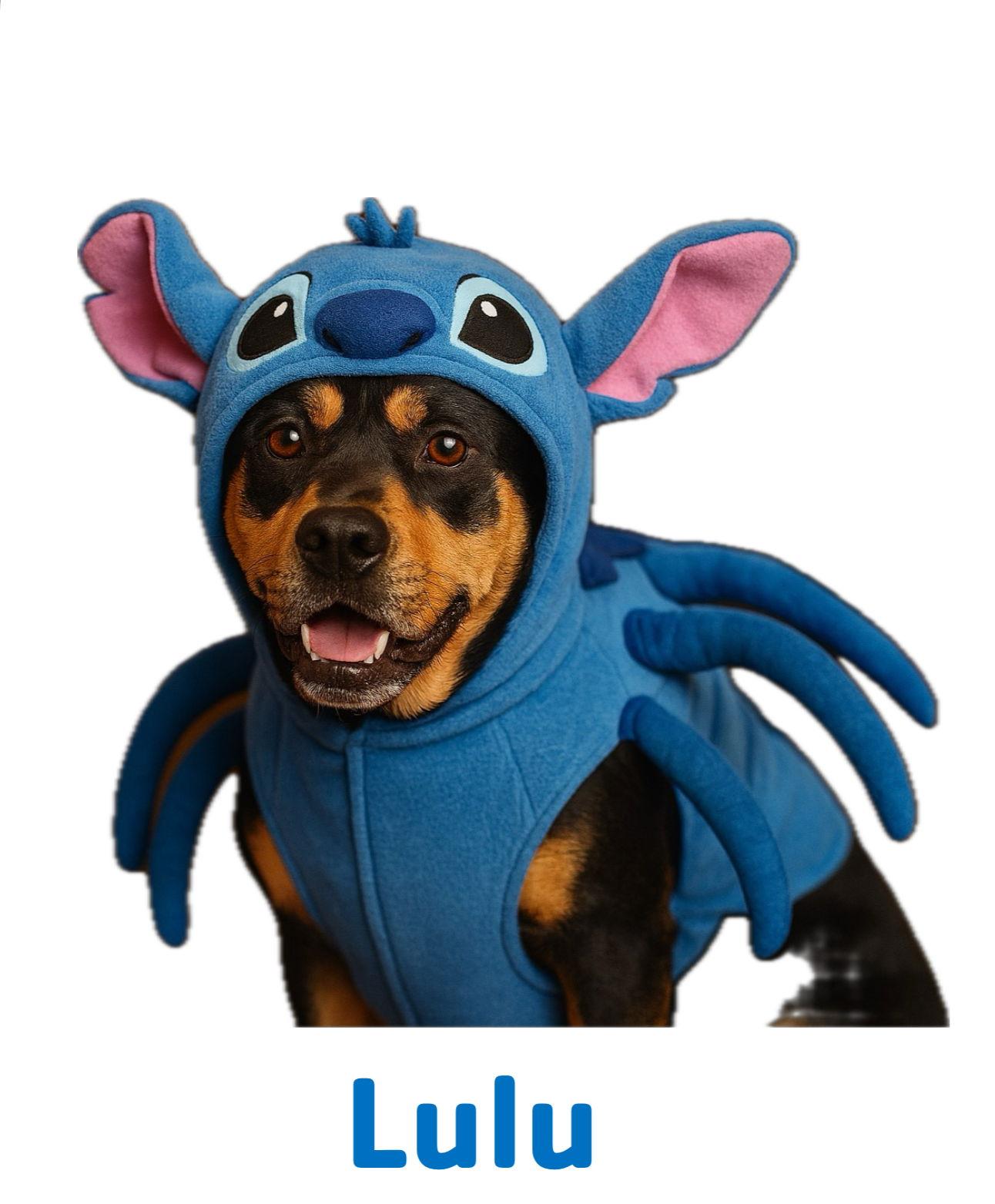 Enlarge Lulu, a Adoptable Hound in Garner, NC image 2/3