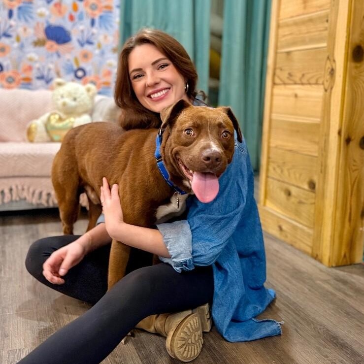 Bourbon Baby the Mini Chocolate Sweetheart