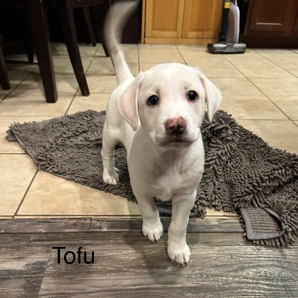 Avalanche thumbnail 5