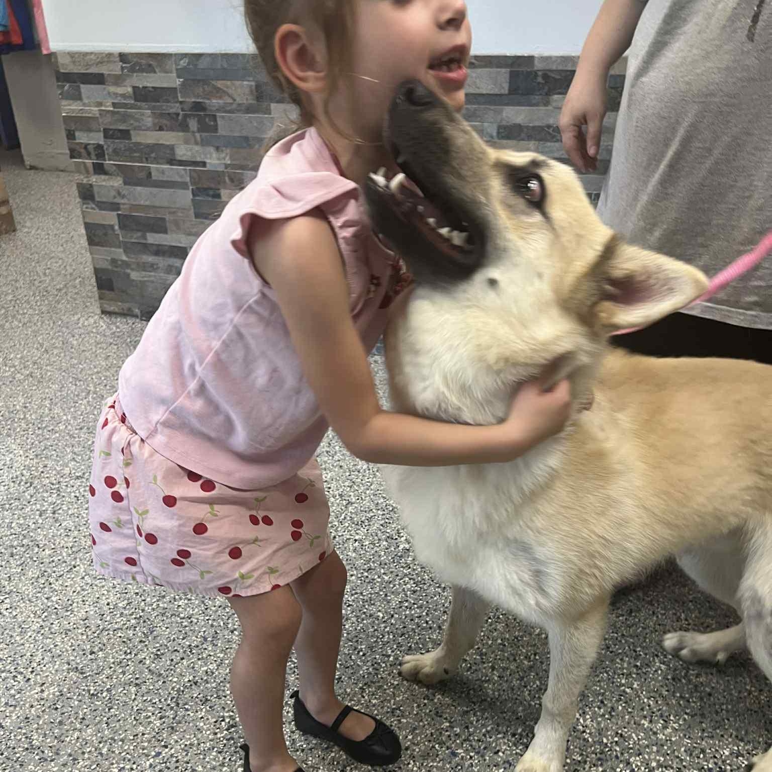 Enlarge THOR GS, an adopted mixed breed in Springfield, OR image 3/6