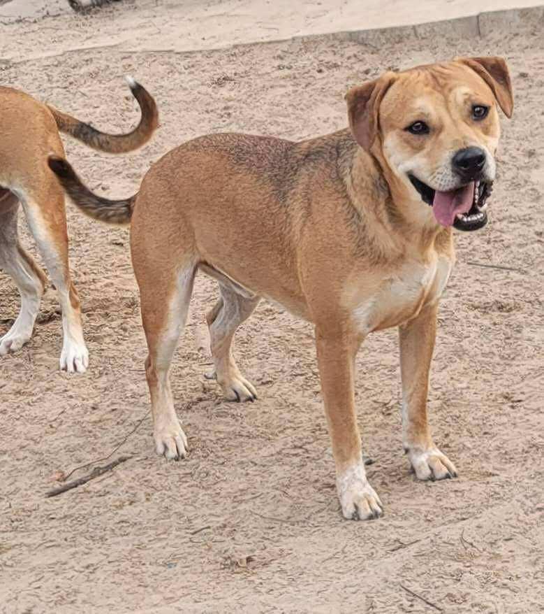 Sir Kyle (20250128-03) — thumbnail 2