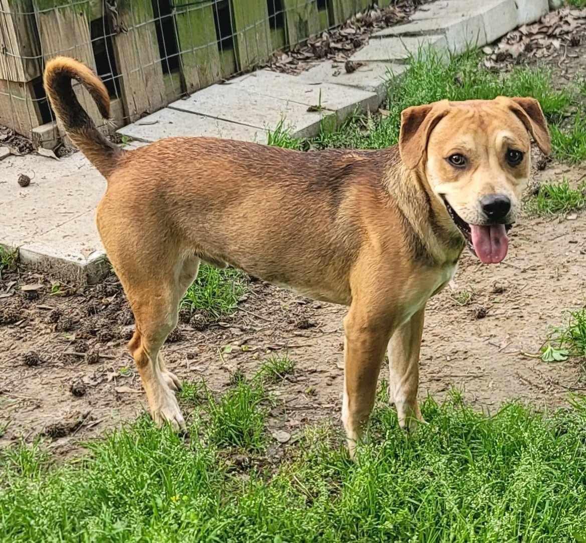 Sir Kyle (20250128-03) — thumbnail 6