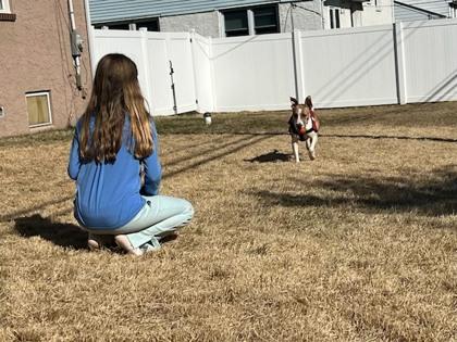 Rodney — thumbnail 3