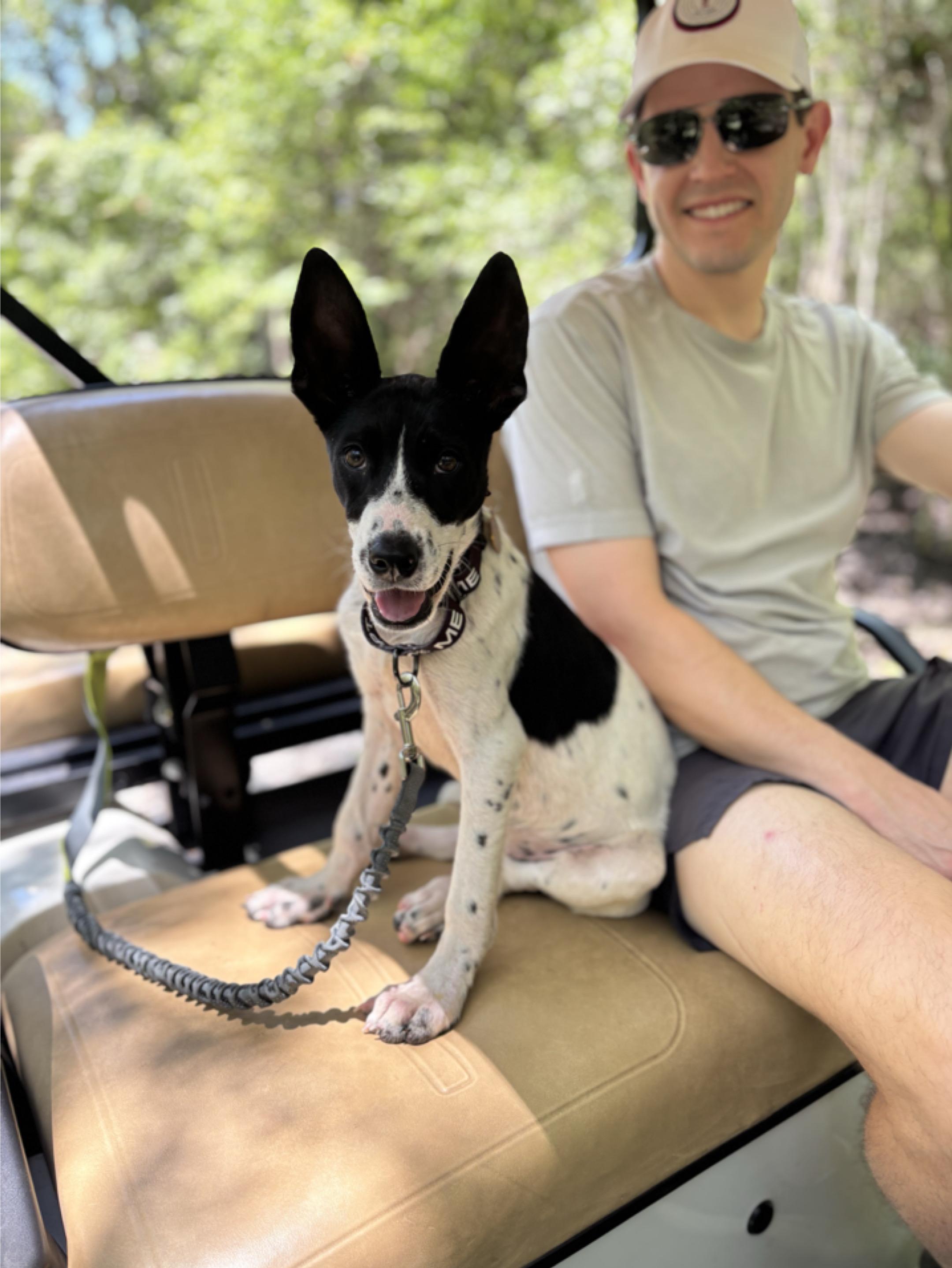 Enlarge Kate Kane, a Adopted mixed breed in charleston, SC image 5/6