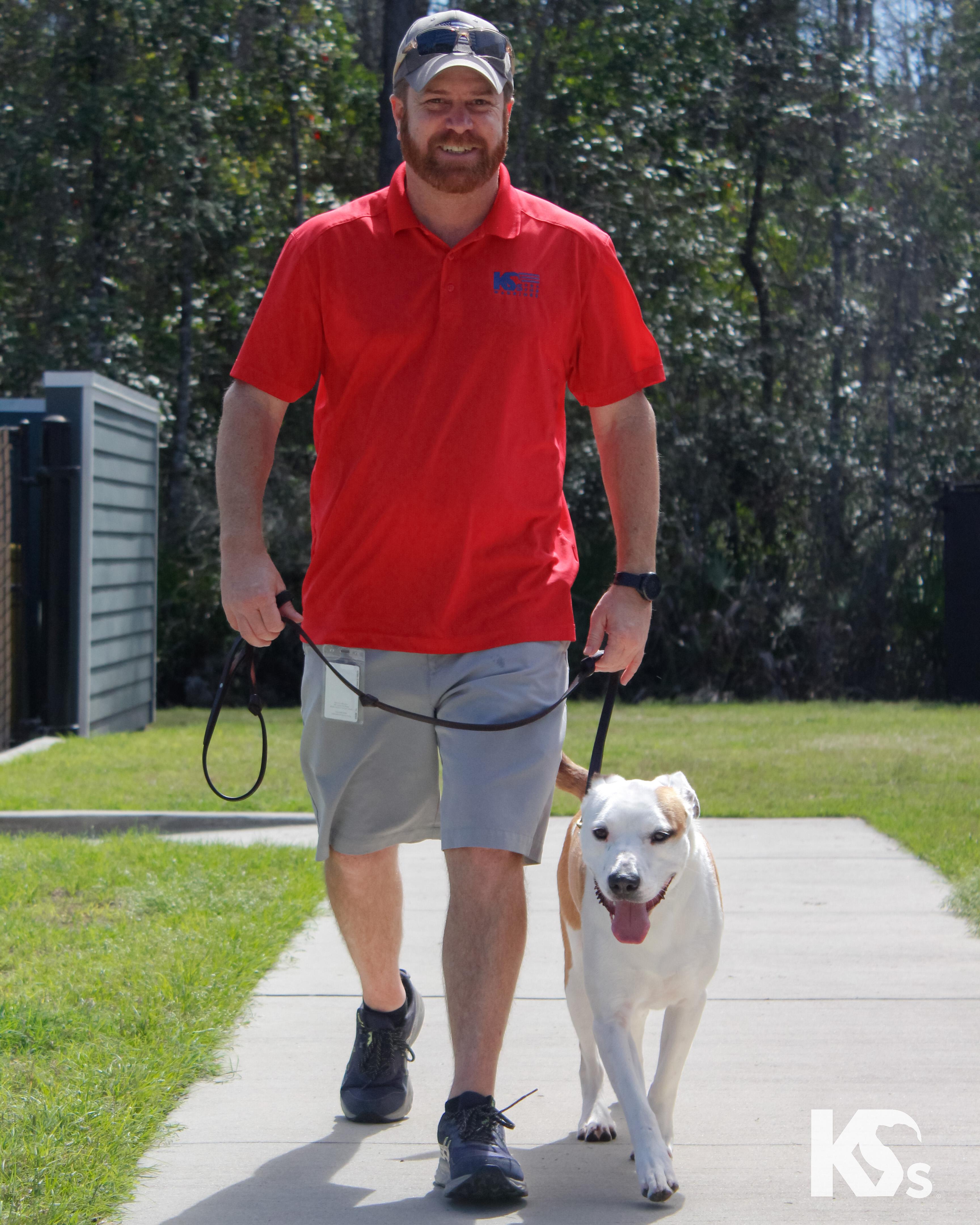 Enlarge Percy, a ADOPTABLE mixed breed in Ponte Vedra, FL image 5/6