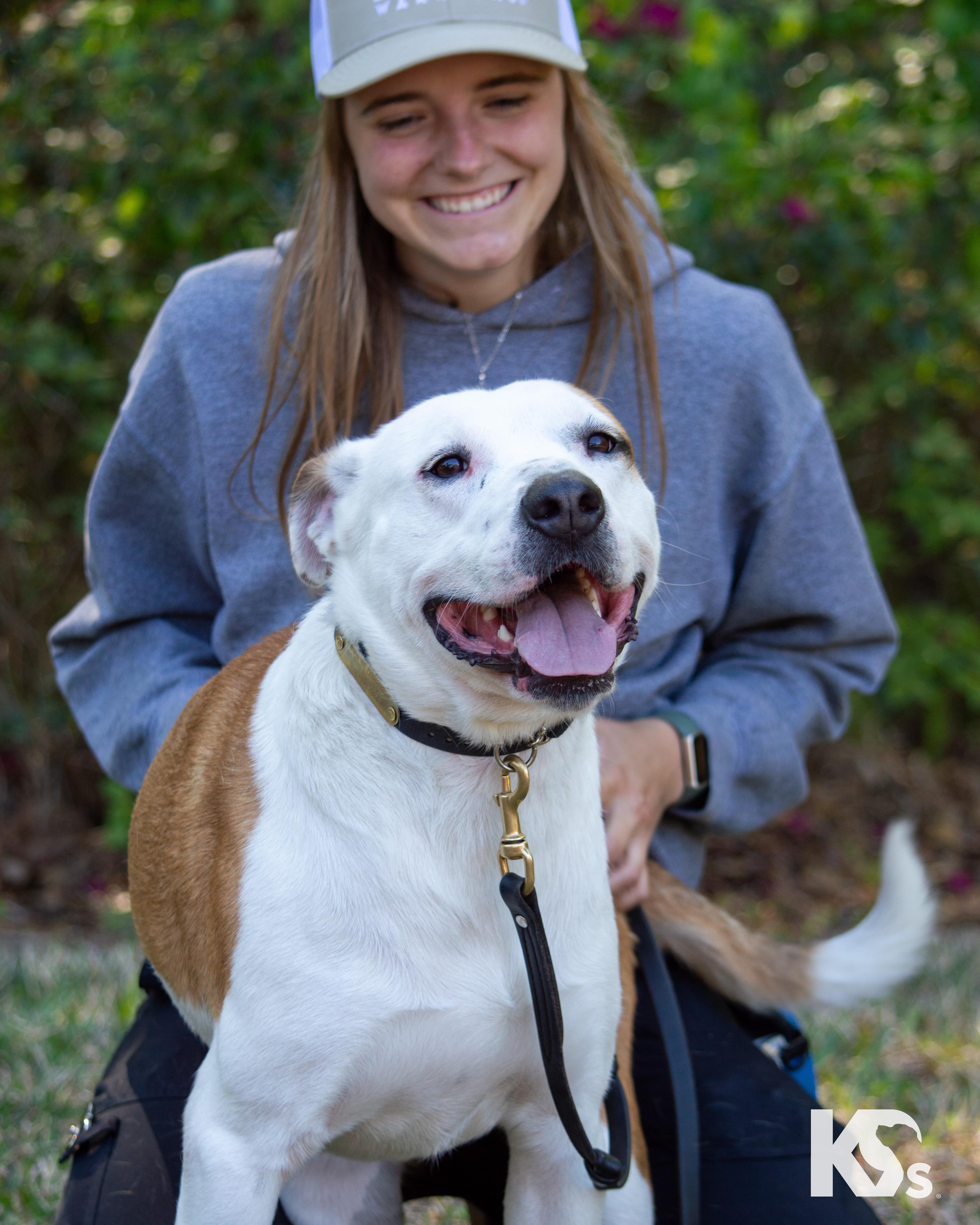Enlarge Percy, a ADOPTABLE mixed breed in Ponte Vedra, FL image 2/6