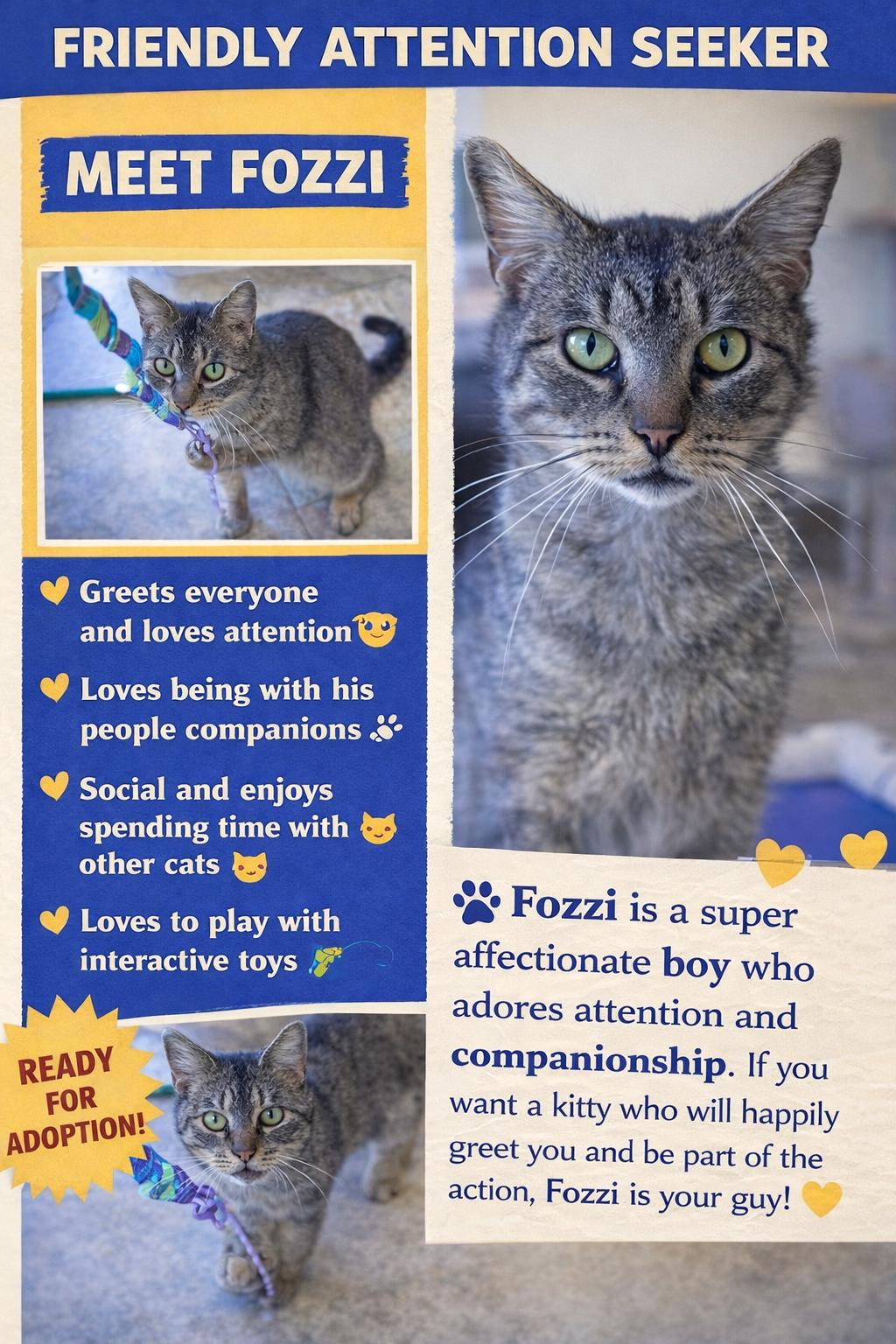 Enlarge Fozzi (FCID# 01/19/2026 - 19 Trainer) C, a Adopted Tabby in Greenville, DE image 2/3