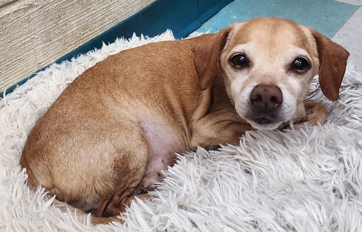 260181 Jack — thumbnail 2