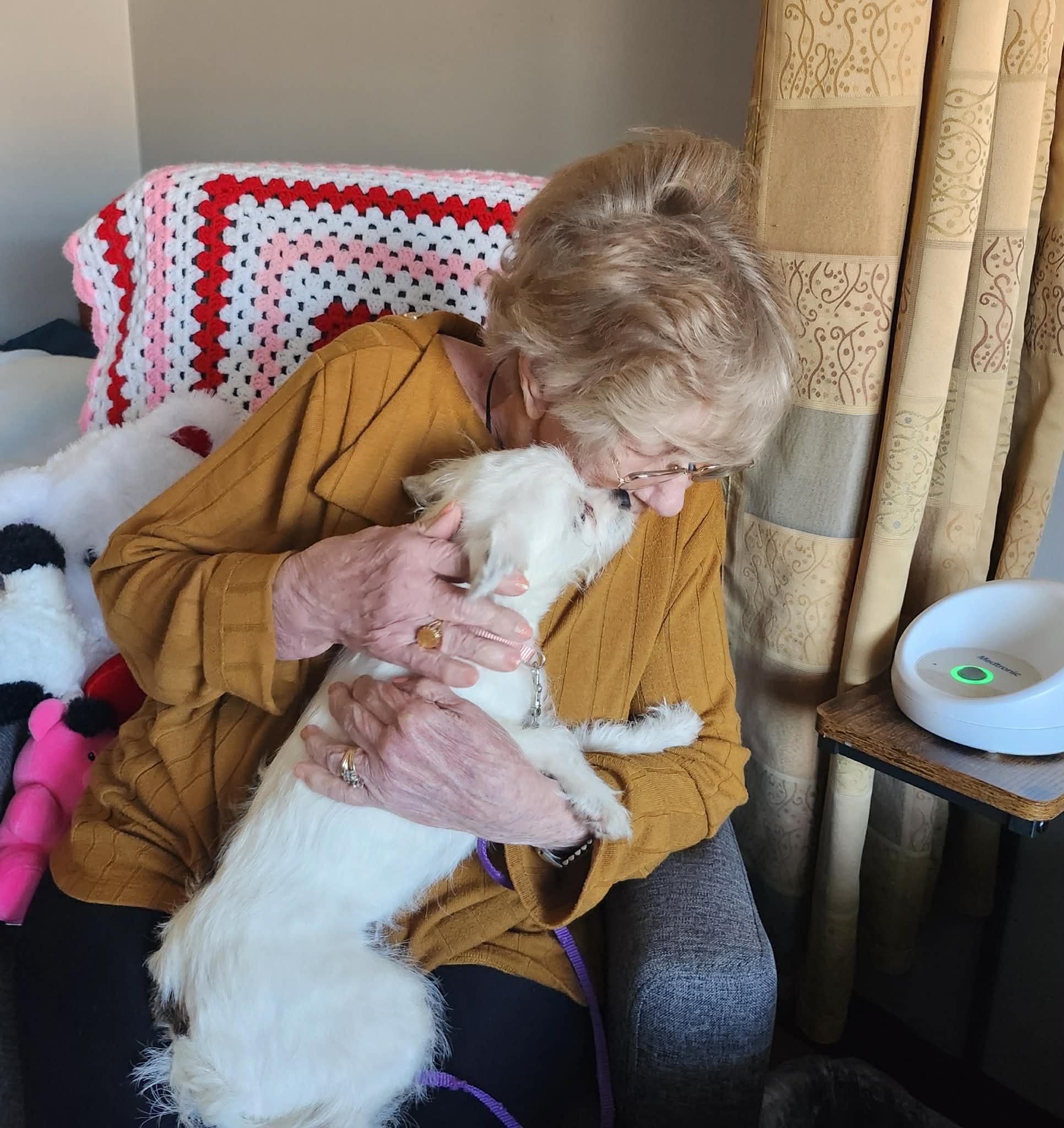 Enlarge DOLLY, a ADOPTABLE mixed breed in Great Bend, KS image 3/4