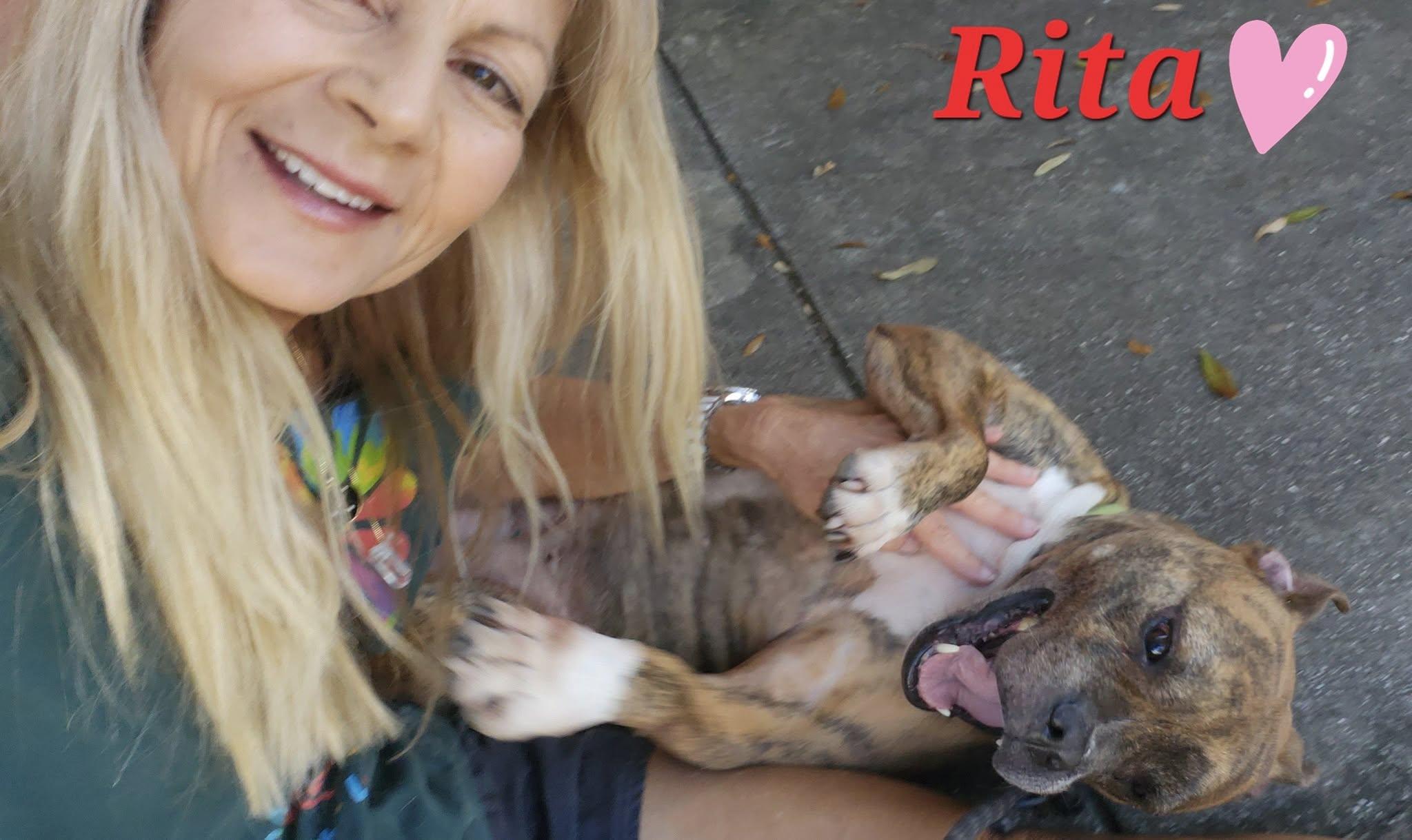 Enlarge Rita, a Adoptable mixed breed in Stuart, FL image 2/6