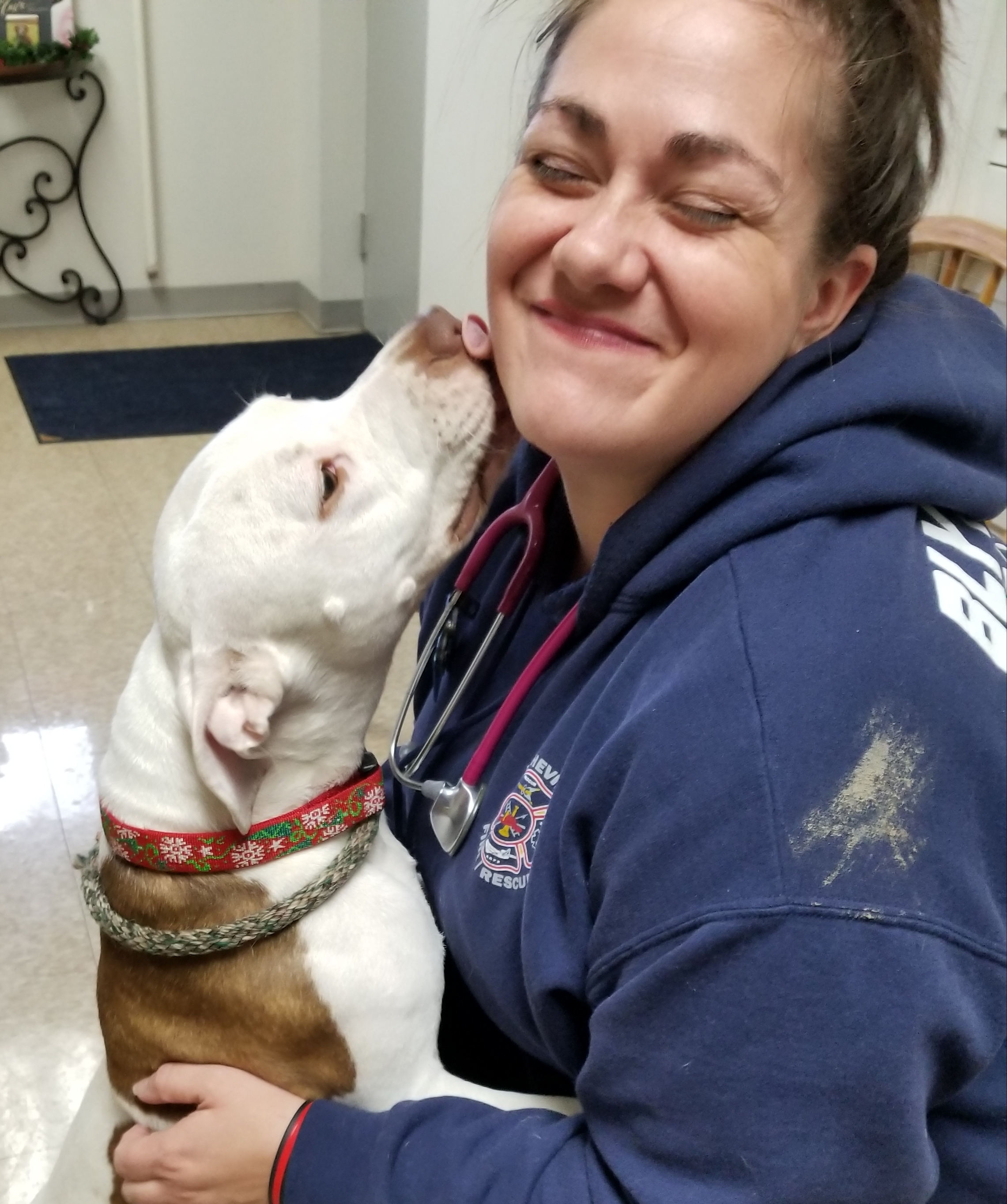 Maddy, a Adoptable Pit Bull Terrier in Bartlett, TN image 5/6