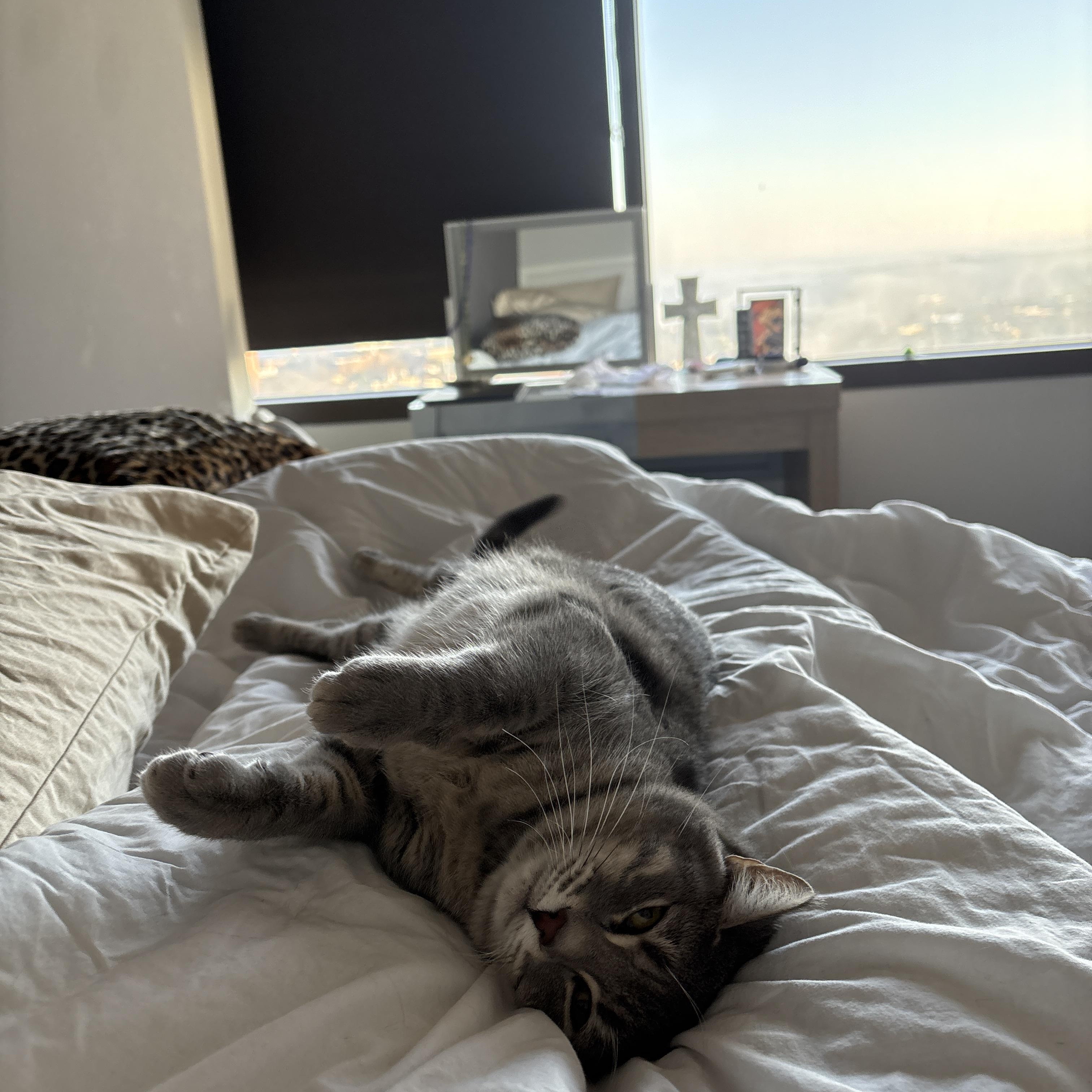 DJ Kitty — thumbnail 5