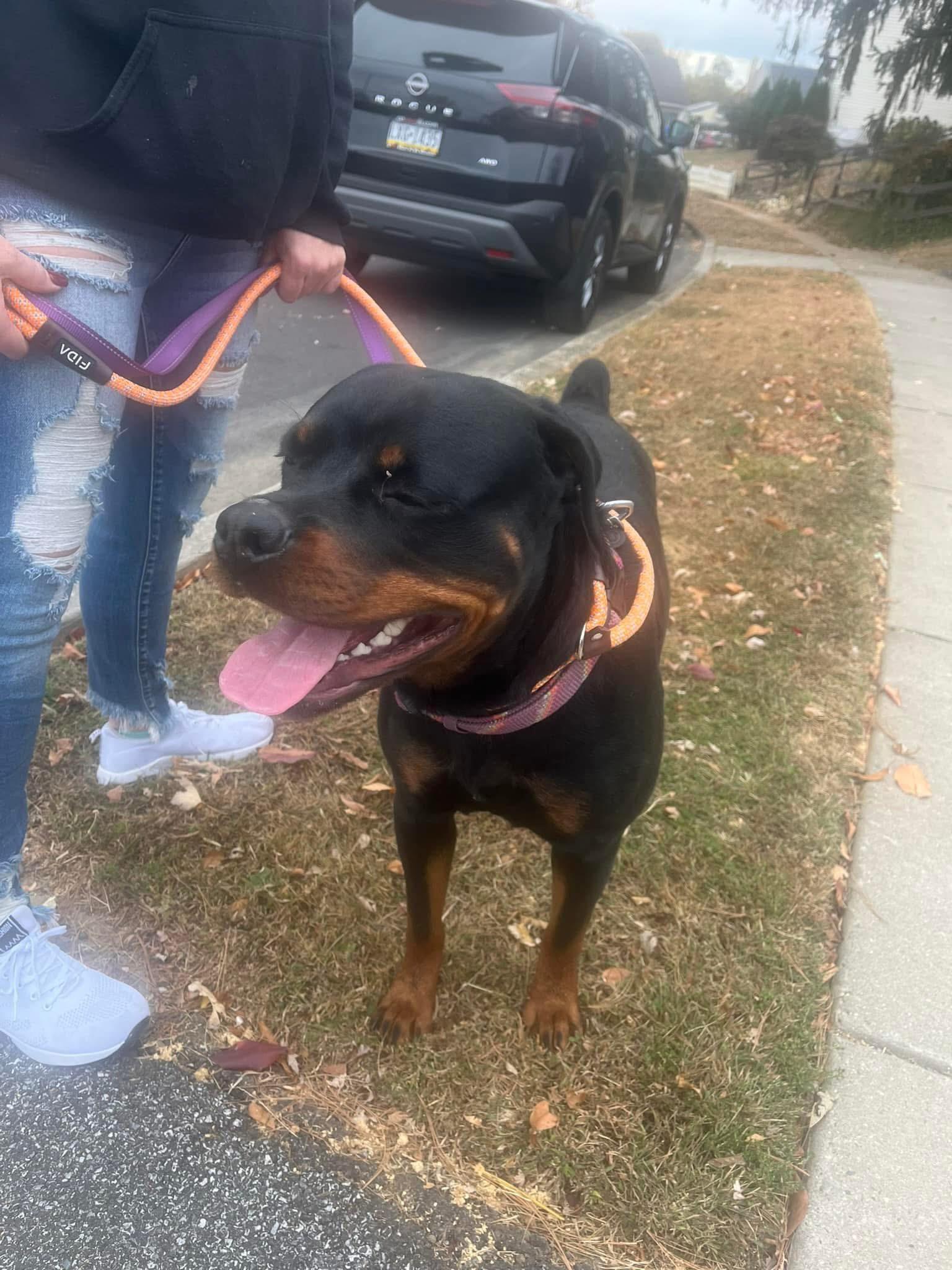 ROXY