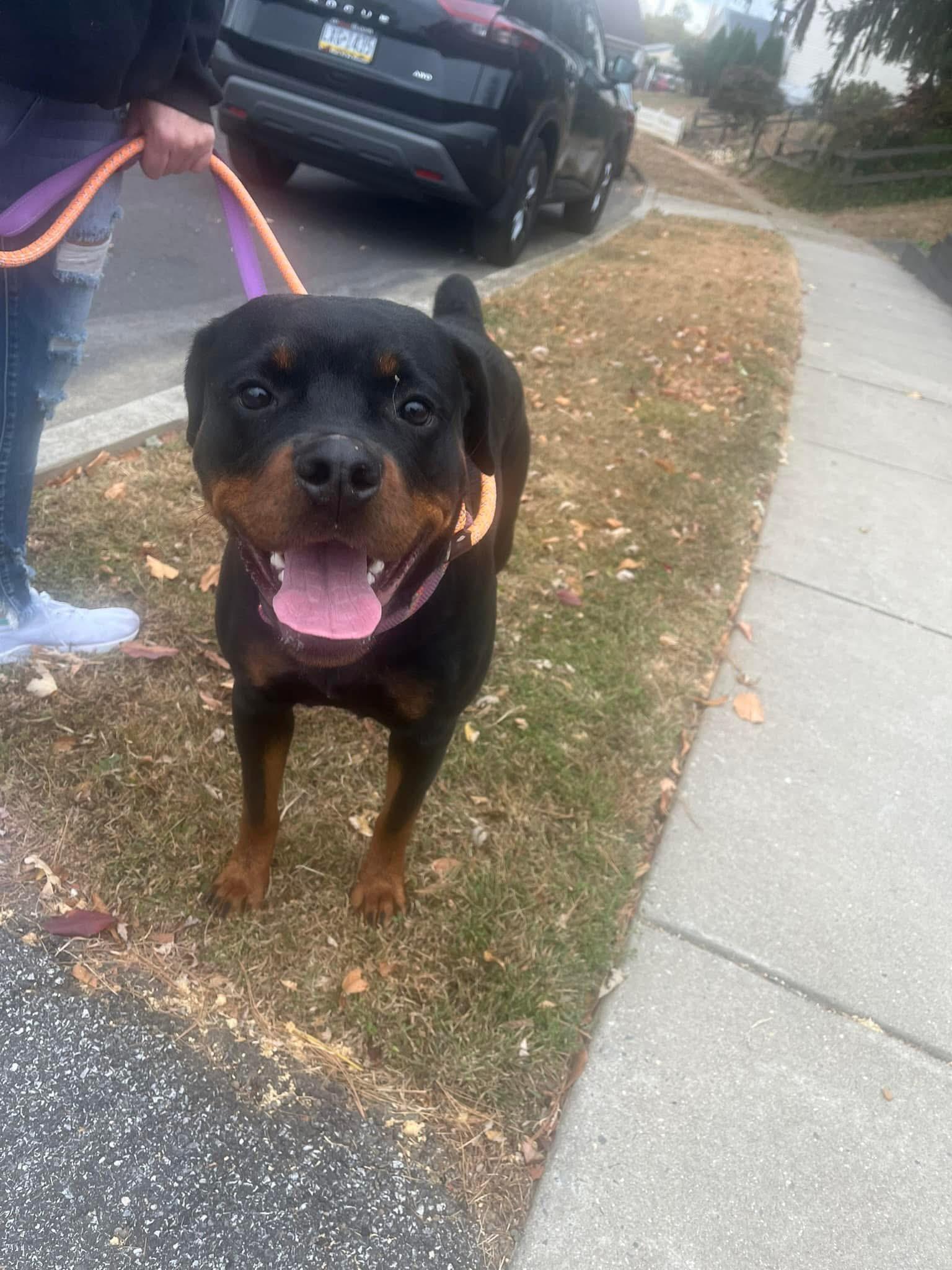 ROXY