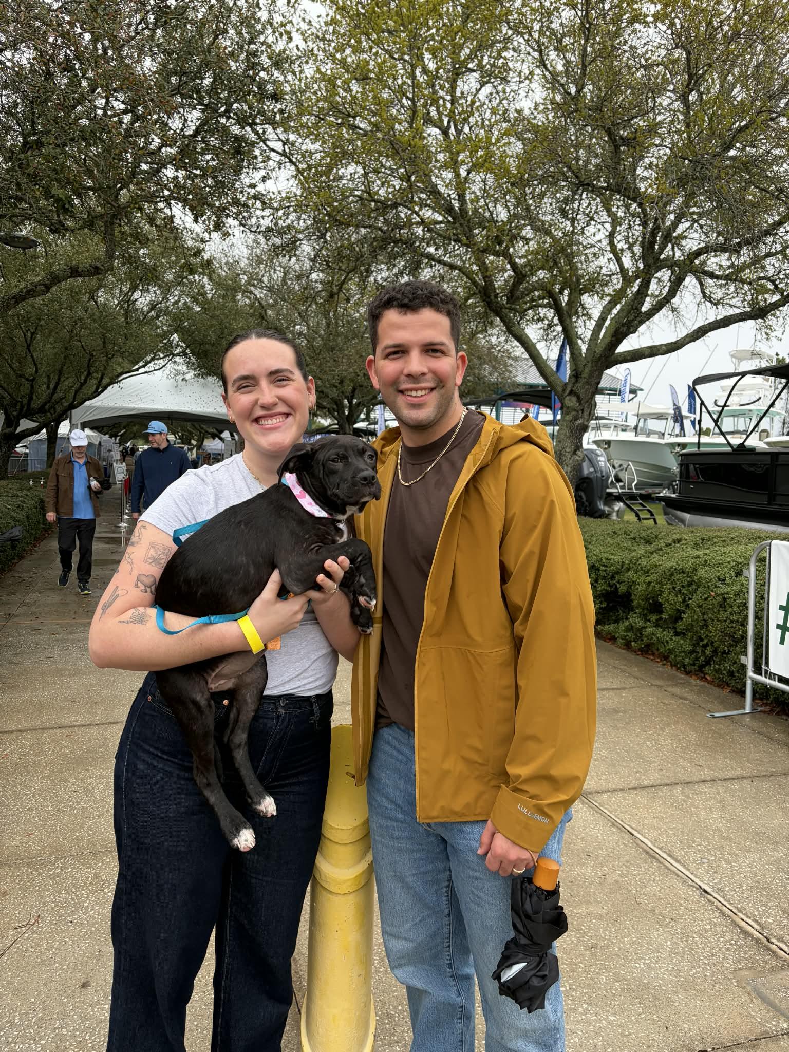 Diamond, a Adopted American Bulldog in Panama City, FL image 2/2