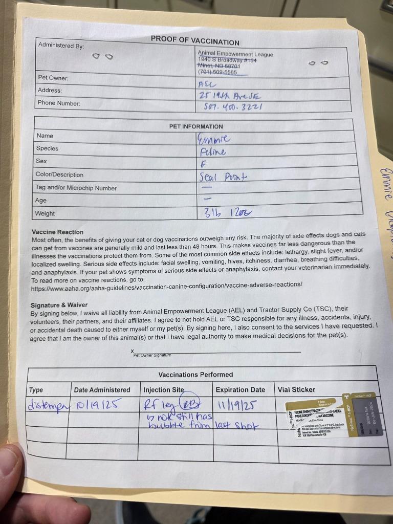 Enlarge Emmie, a Adoptable mixed breed in Minot, ND image 2/6