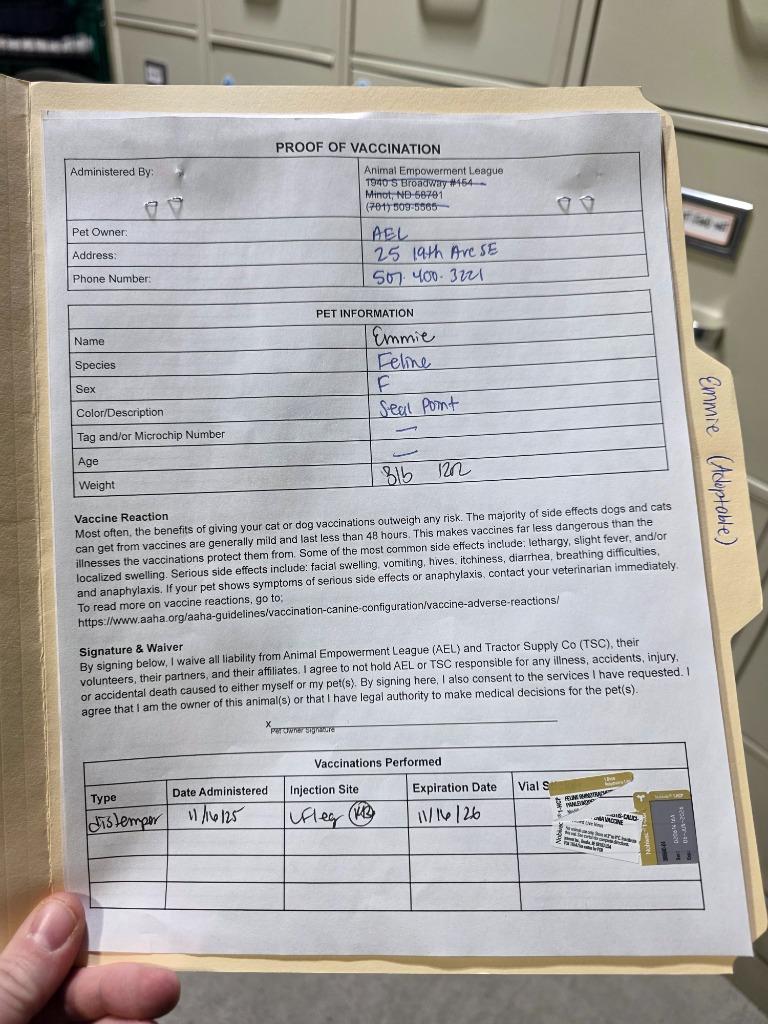 Enlarge Emmie, a Adoptable mixed breed in Minot, ND image 6/6