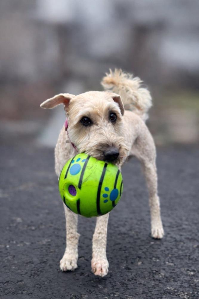 Kady — thumbnail 3