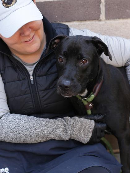 Grace, Adoptable, Adult Female Mixed Breed & Mixed Breed.