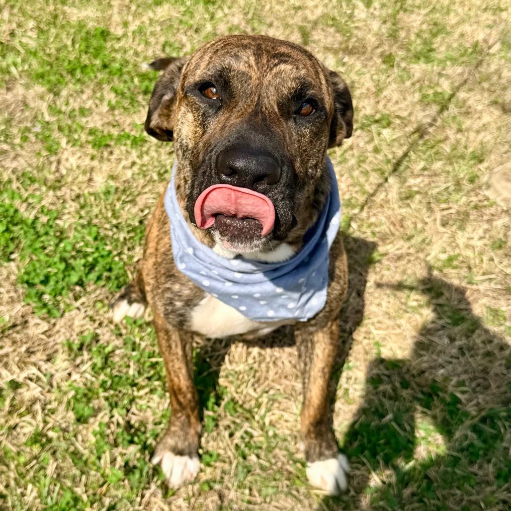 Jeep — thumbnail 5