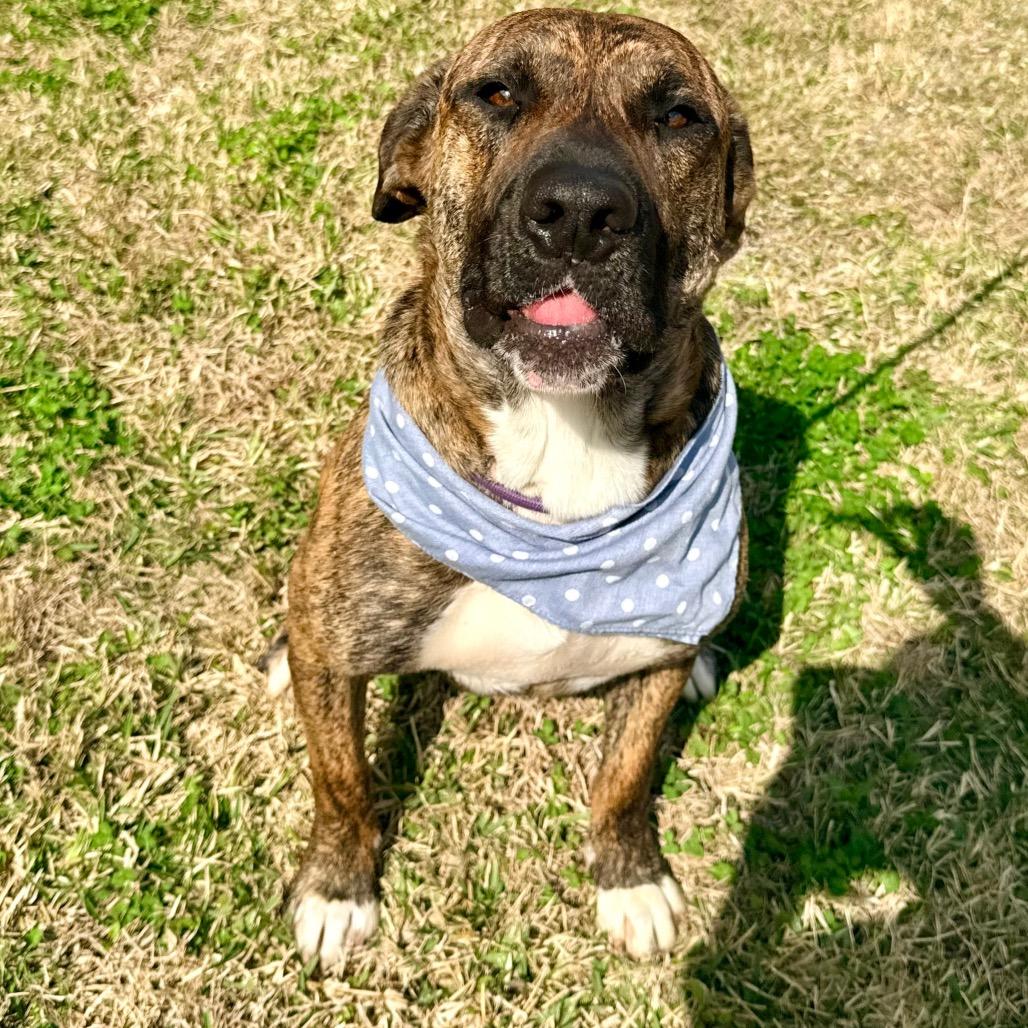 Jeep — thumbnail 6