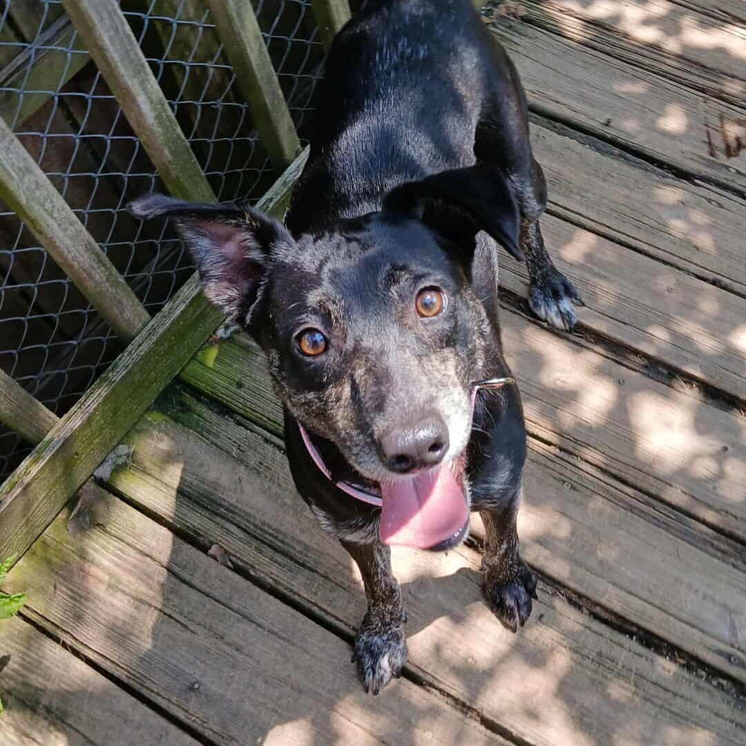 Lola