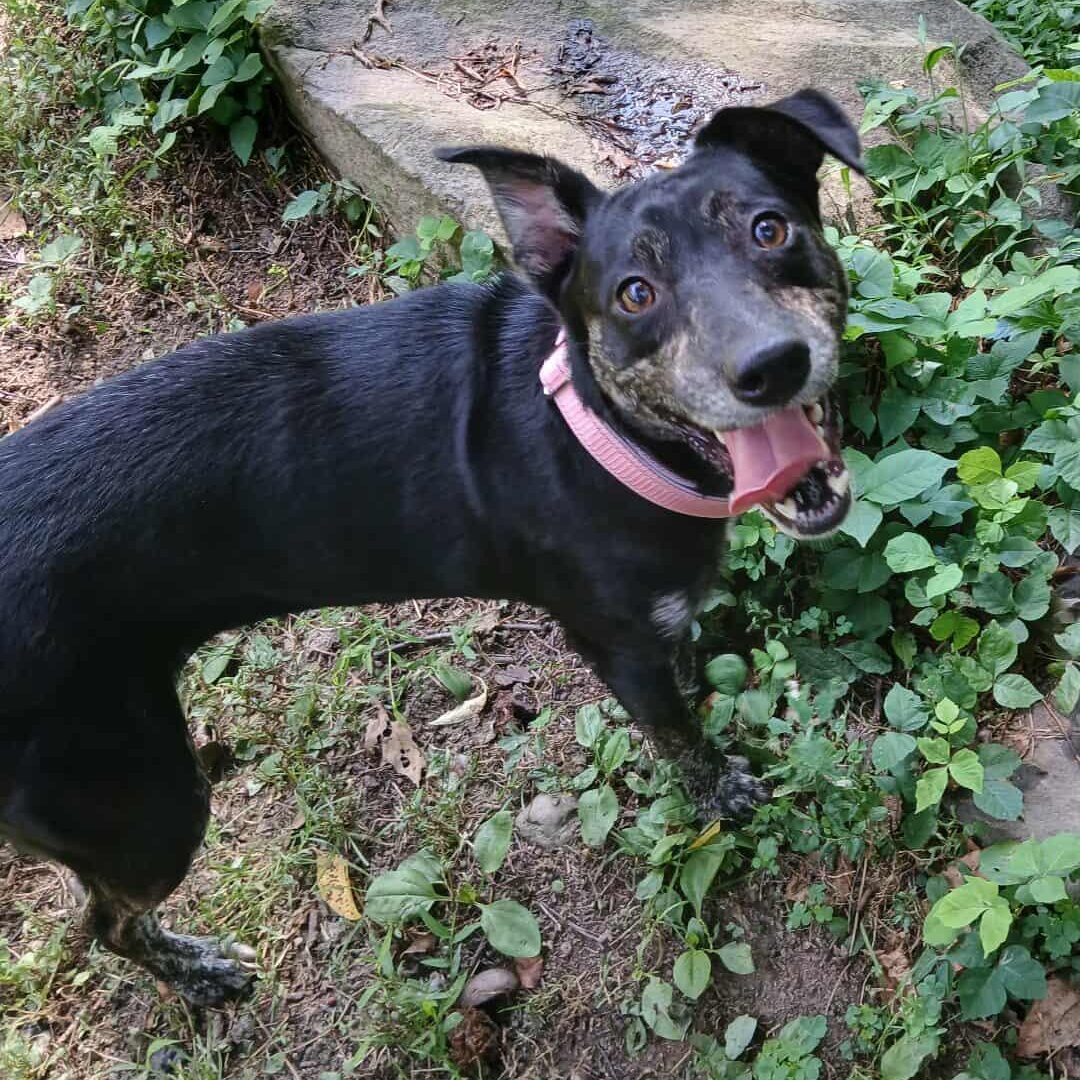 Lola