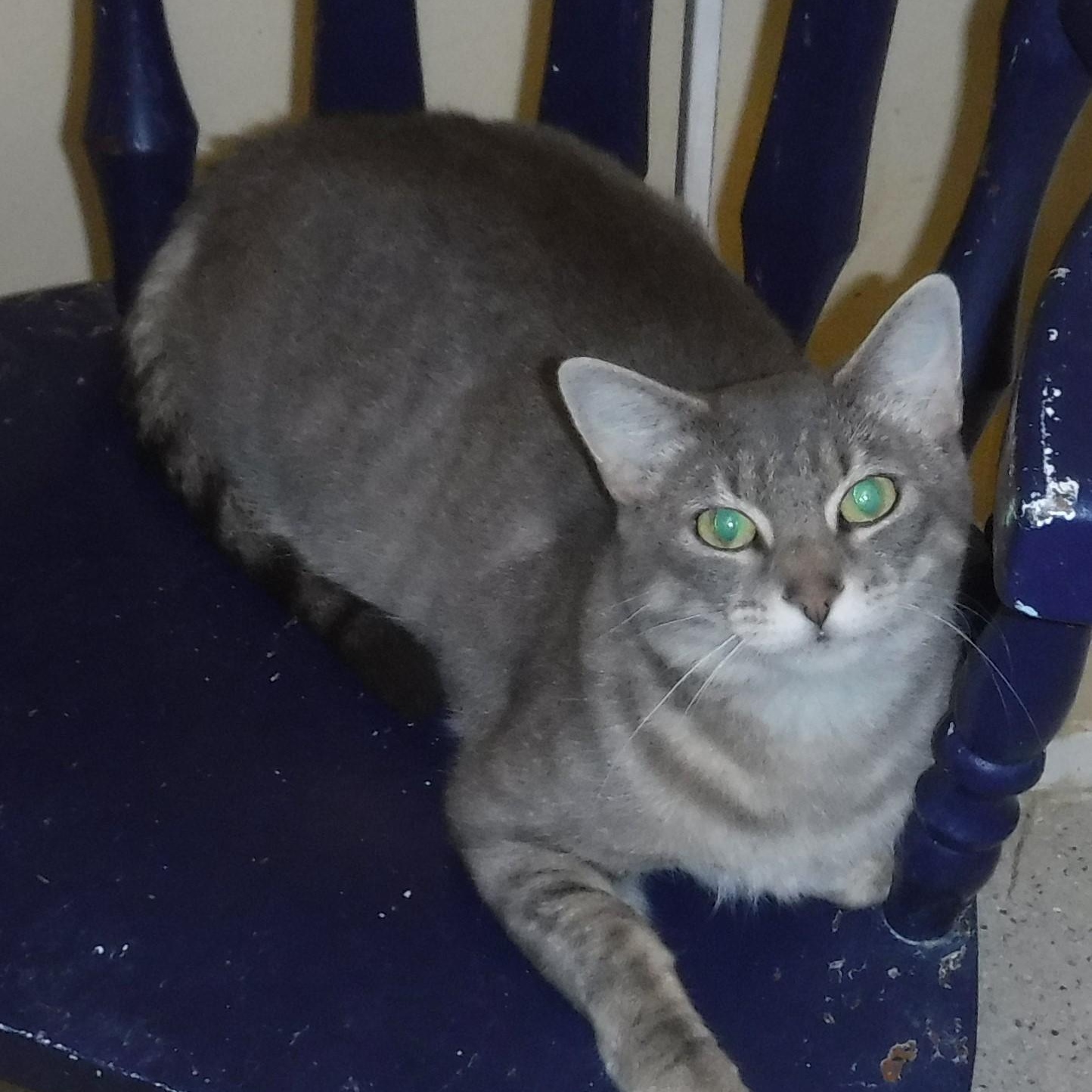 Delilah - Super Social