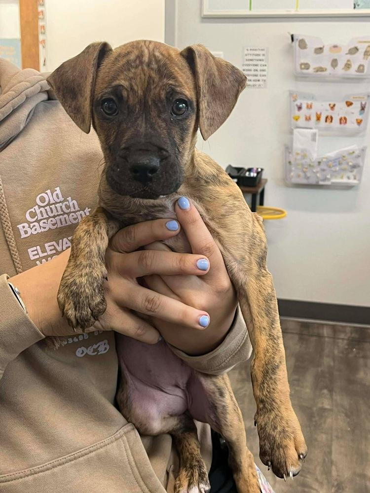 Braylee — thumbnail 2