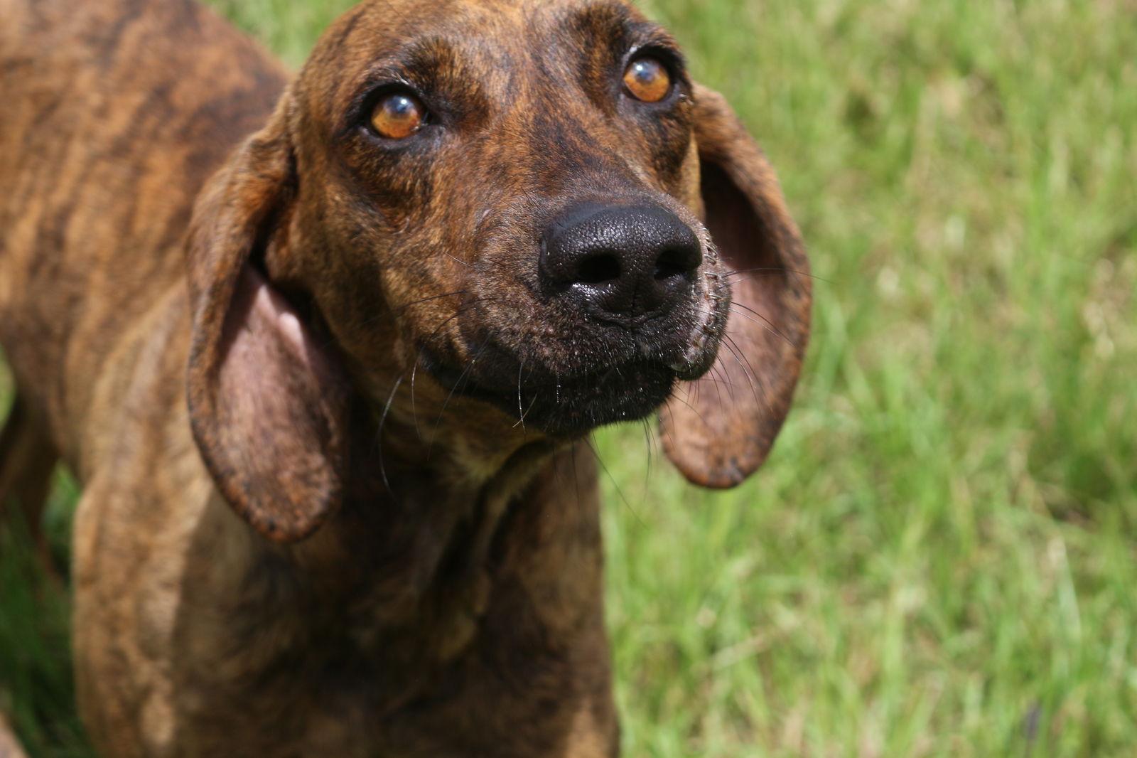 Slick — thumbnail 2