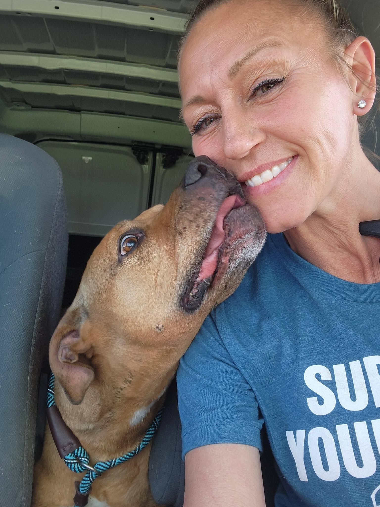 Enlarge Turkey, a Adoptable mixed breed in Myerstown, PA image 3/6