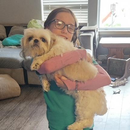 Nelly, a Adoptable Shih Tzu in Houston, TX image 1/2