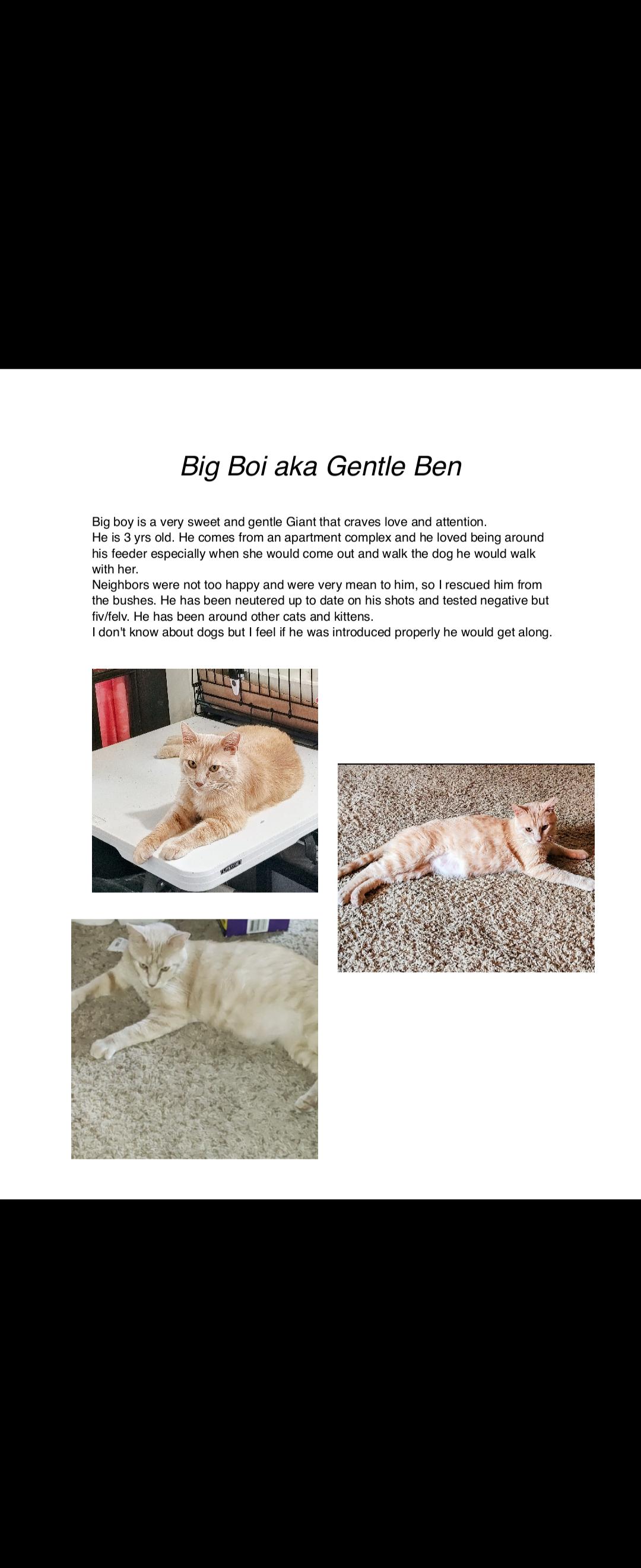 Big Boi