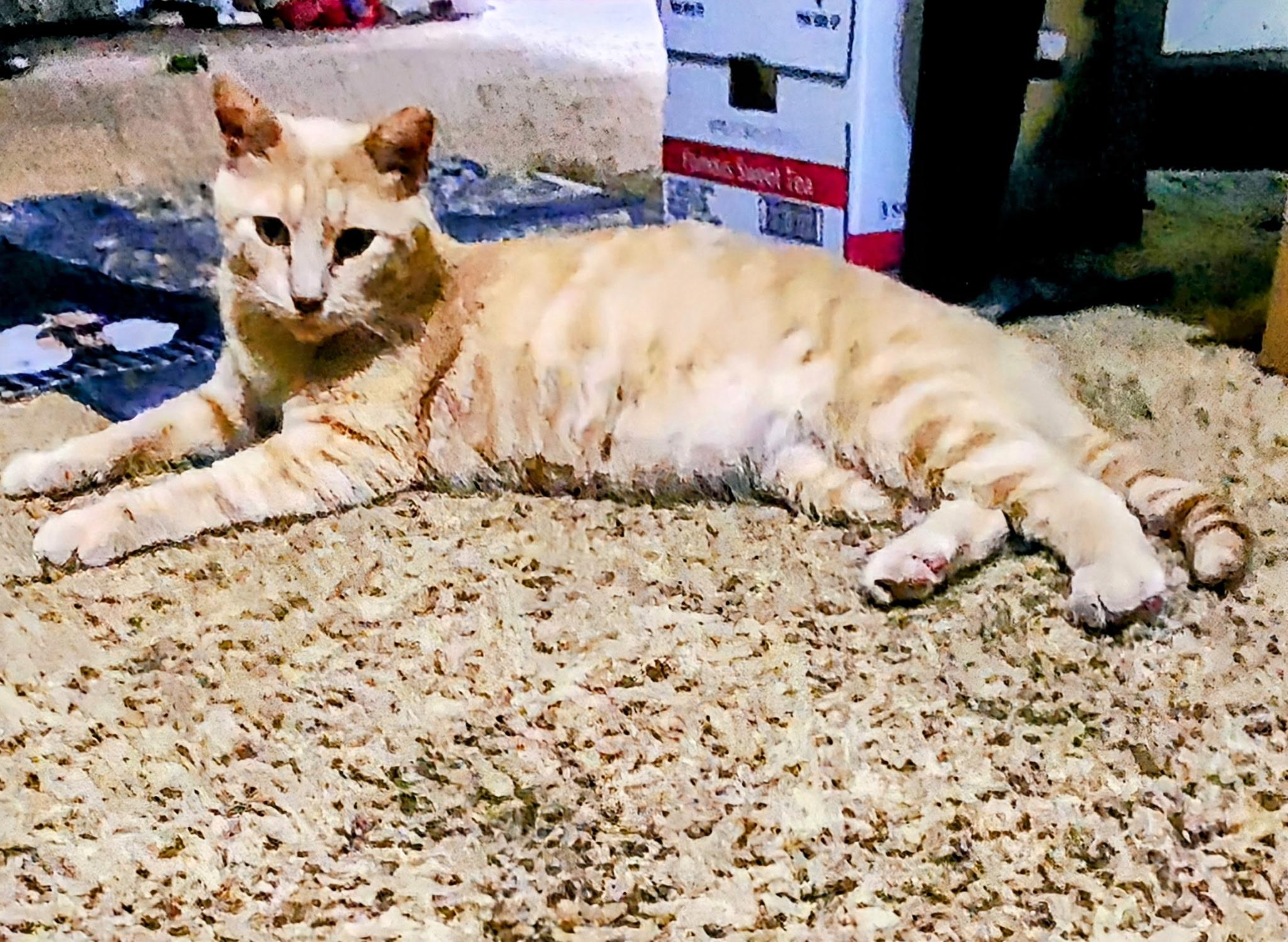 Big Boi