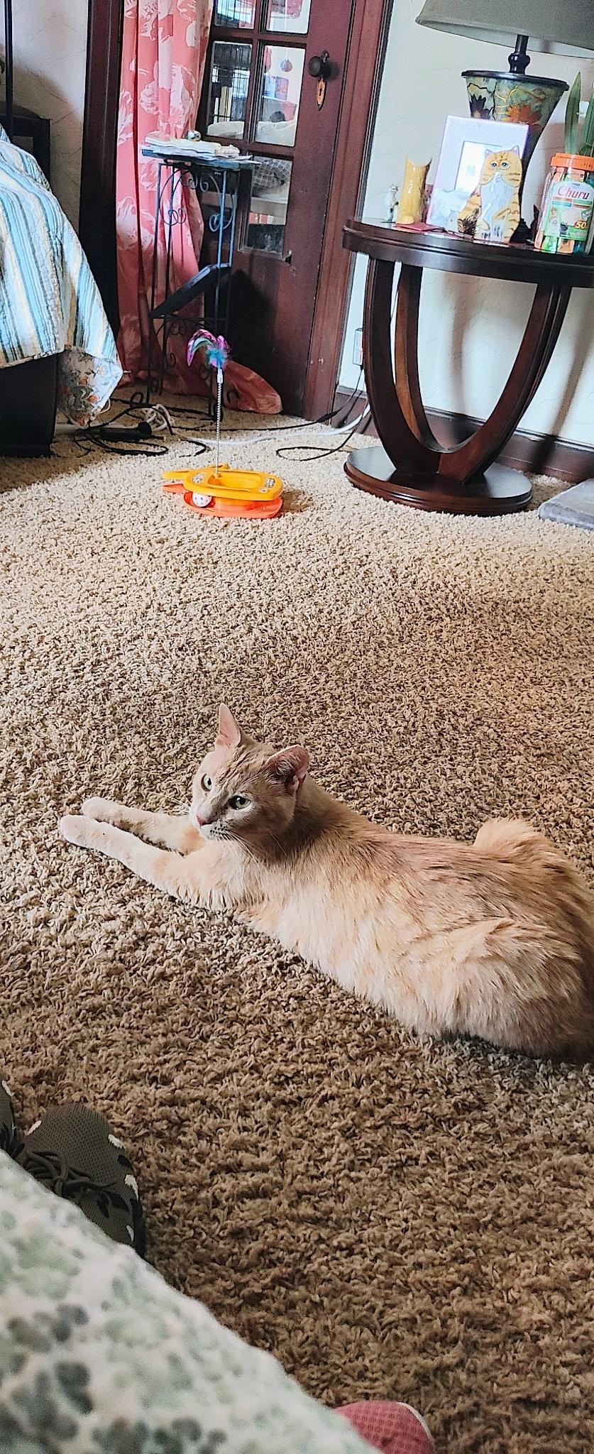 Big Boi